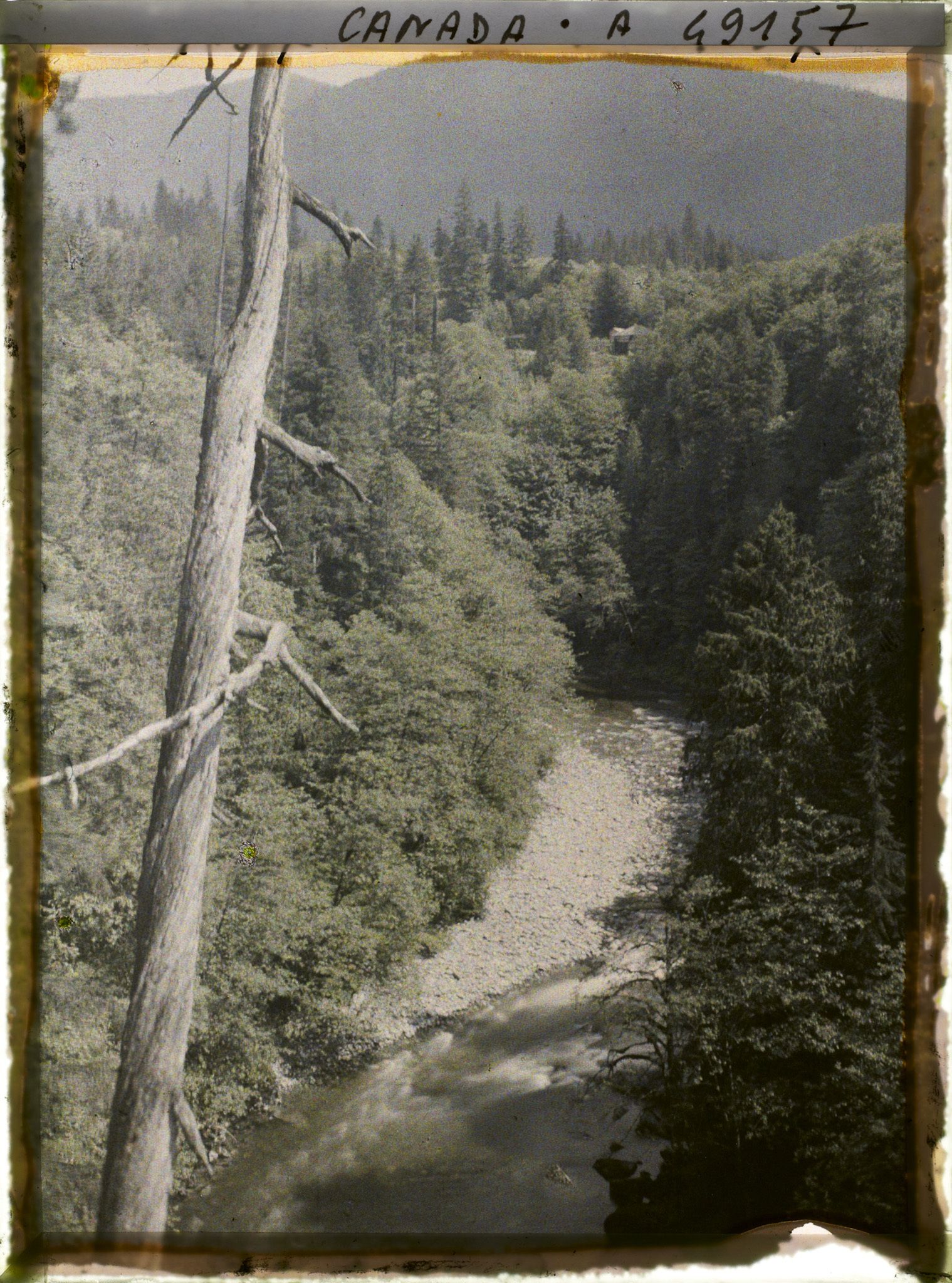 Image représentant Canada, Vancouver, Capilane Canyon, Le 2e Canyon amont
