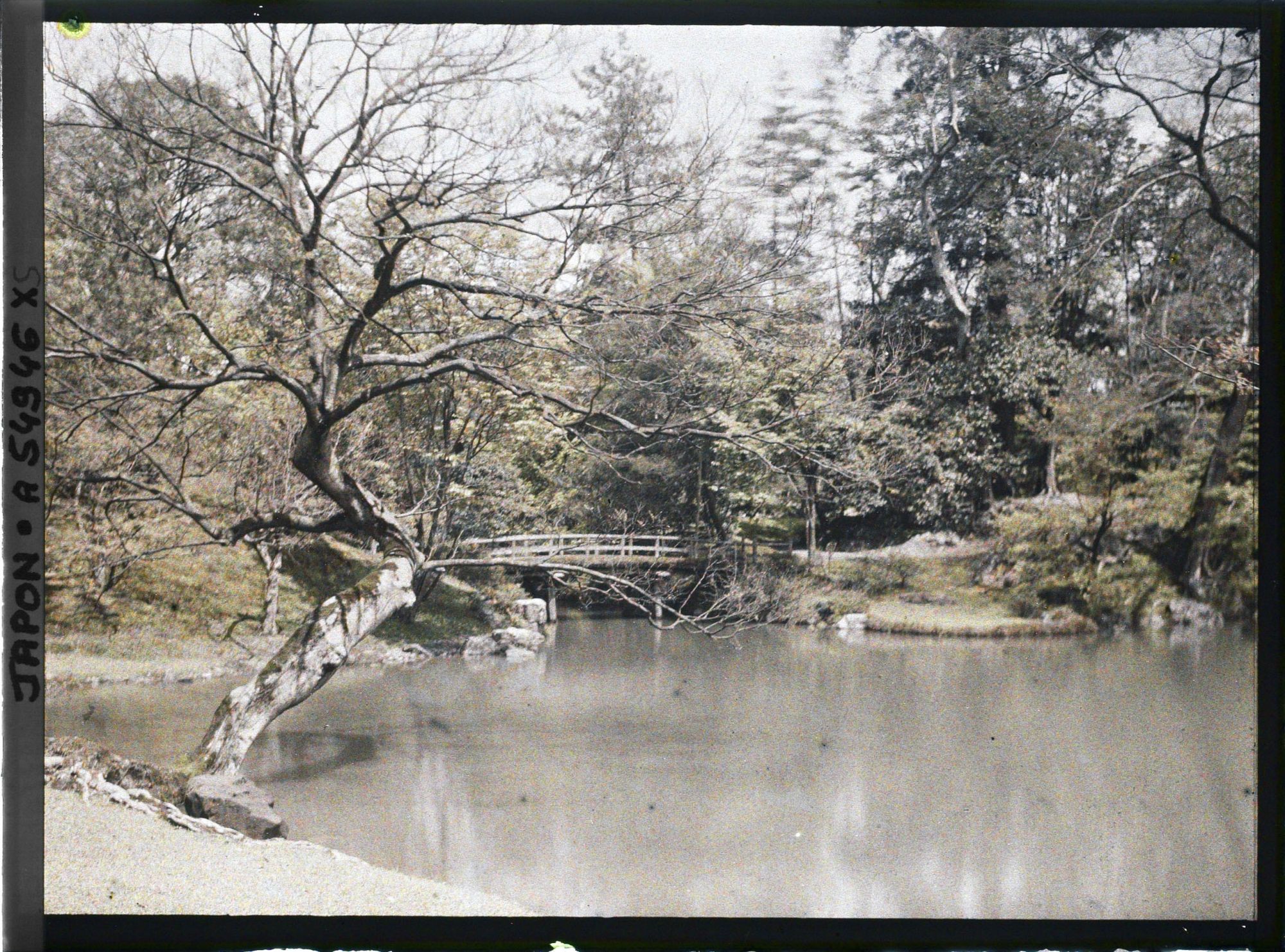 Image représentant Le palais impérial Sento (Sento-gosho) : le Momiji-bashi
