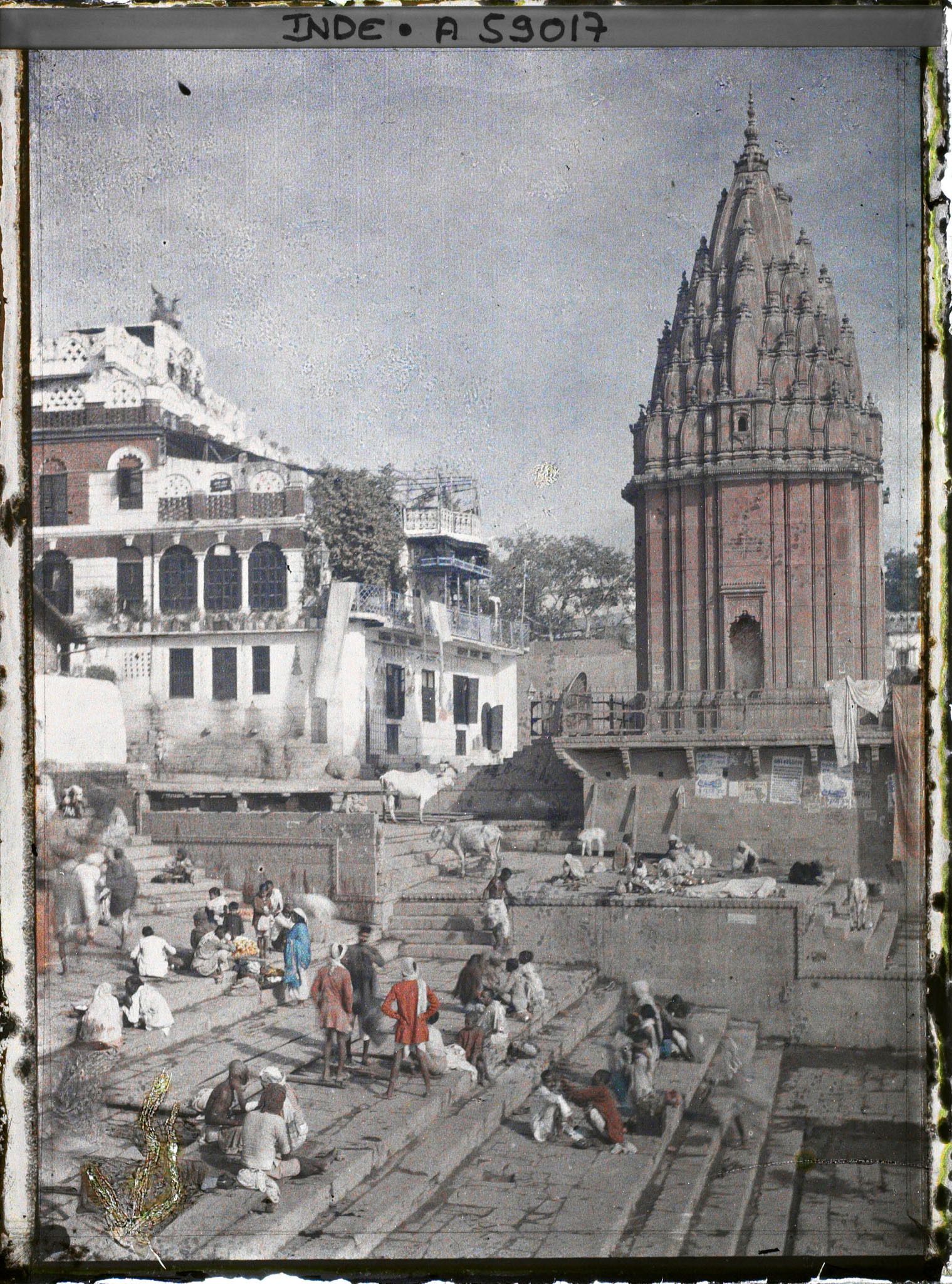 Image représentant Pèlerins et vaches sacrées sur les ghats