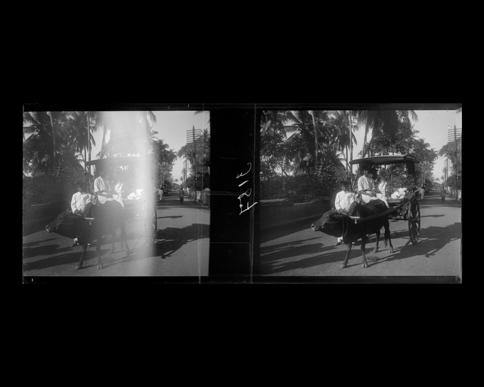 Image représentant Attelage tiré par un buffle, probablement dans une rue du quartier de Colpetty