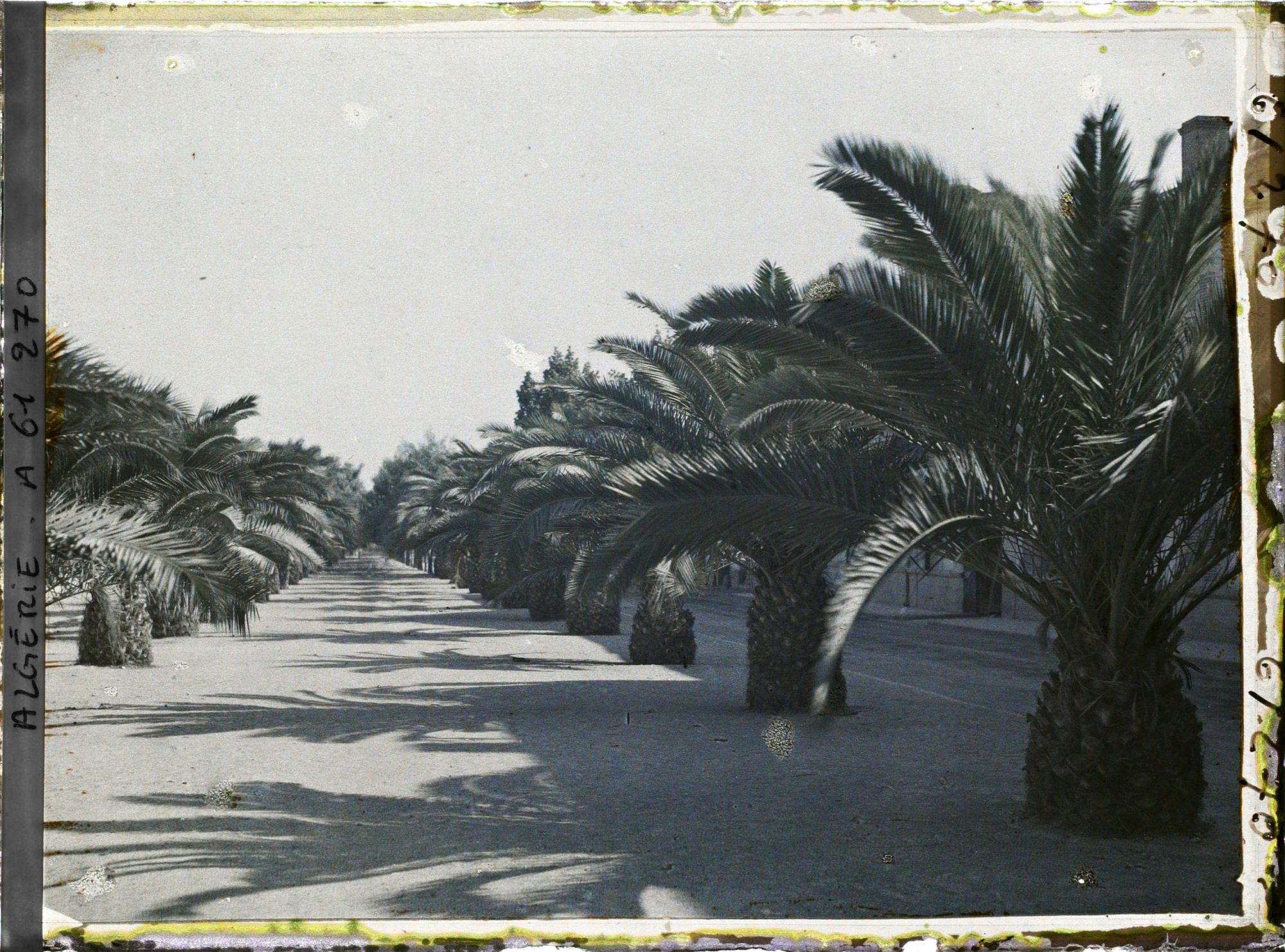 Image représentant Boulevard Polycarpe-Gros