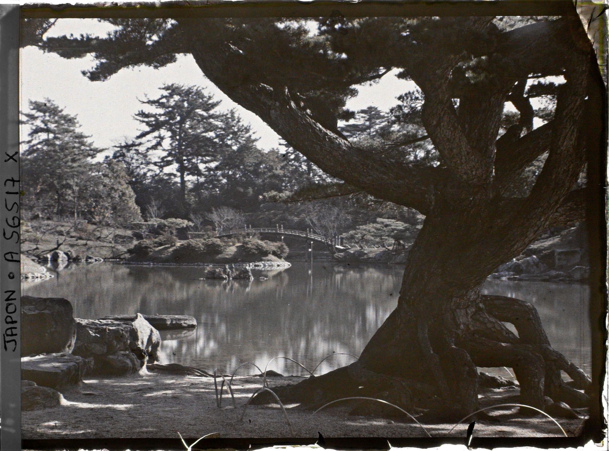 Image représentant Parc Ritsurin-koen (ou Kuribayashi-koen) : le pin Neagari-goyomatsu et le lac du sud (Nanko)
