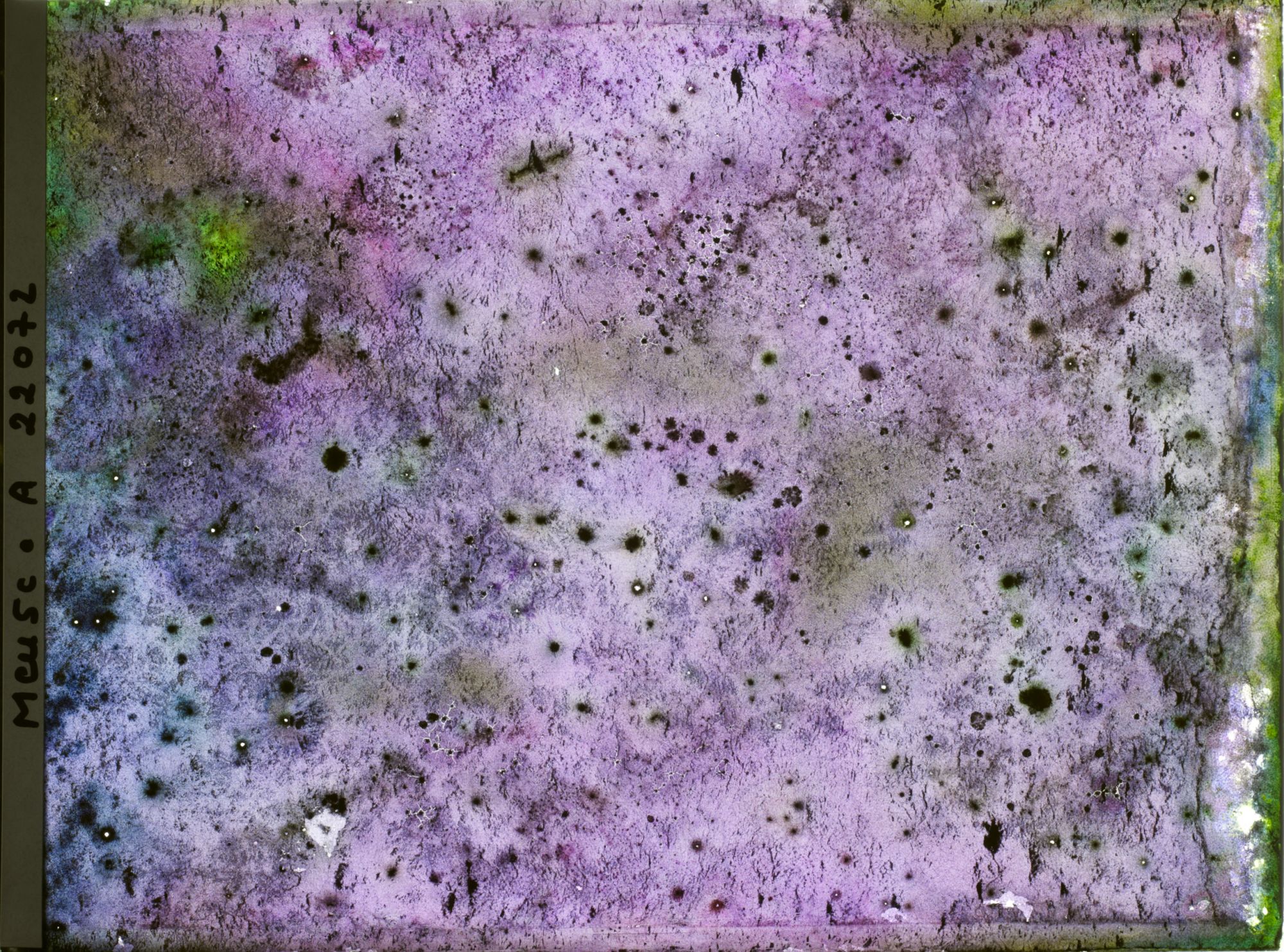 Image représentant Image illisible, plaque endommagée par l'eau (altérations d'époque)