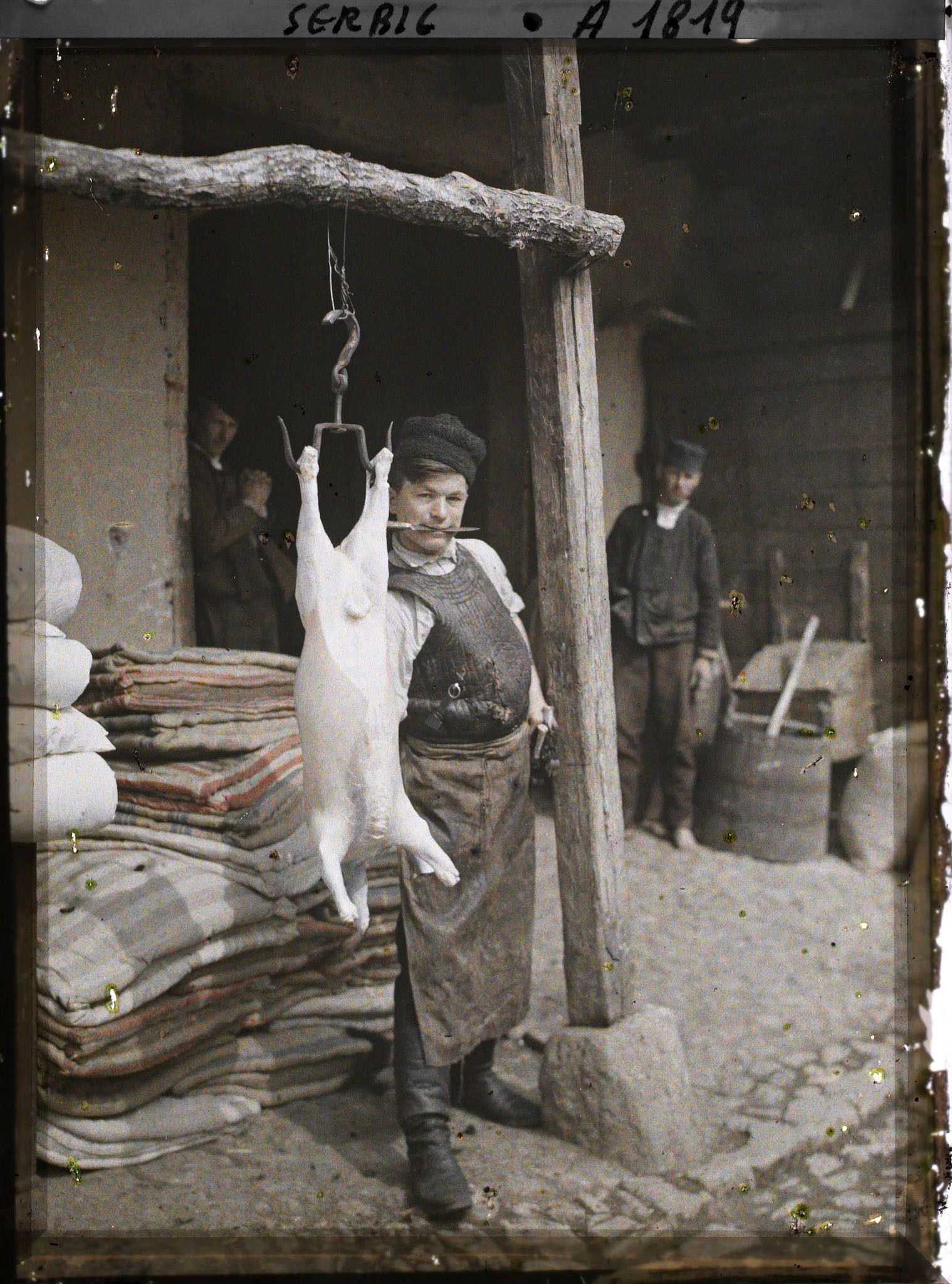 Image représentant Serbe dépeçant un mouton dans la cour intérieure d'une auberge