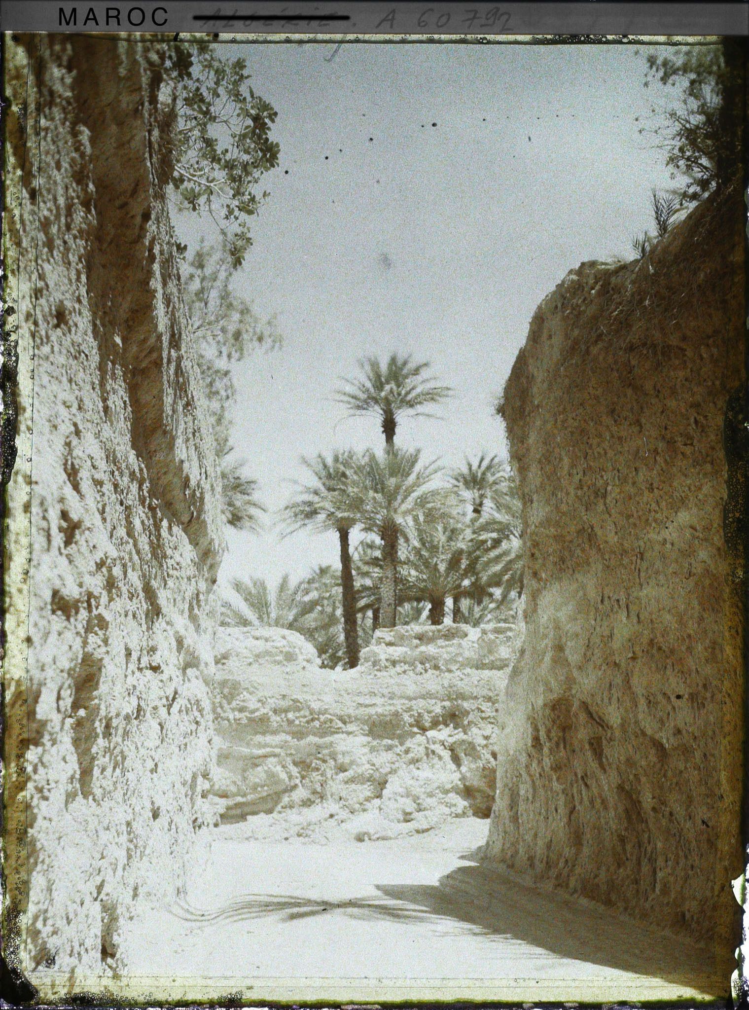 Image représentant Entrée de la palmeraie par la route de Beni-Ounif