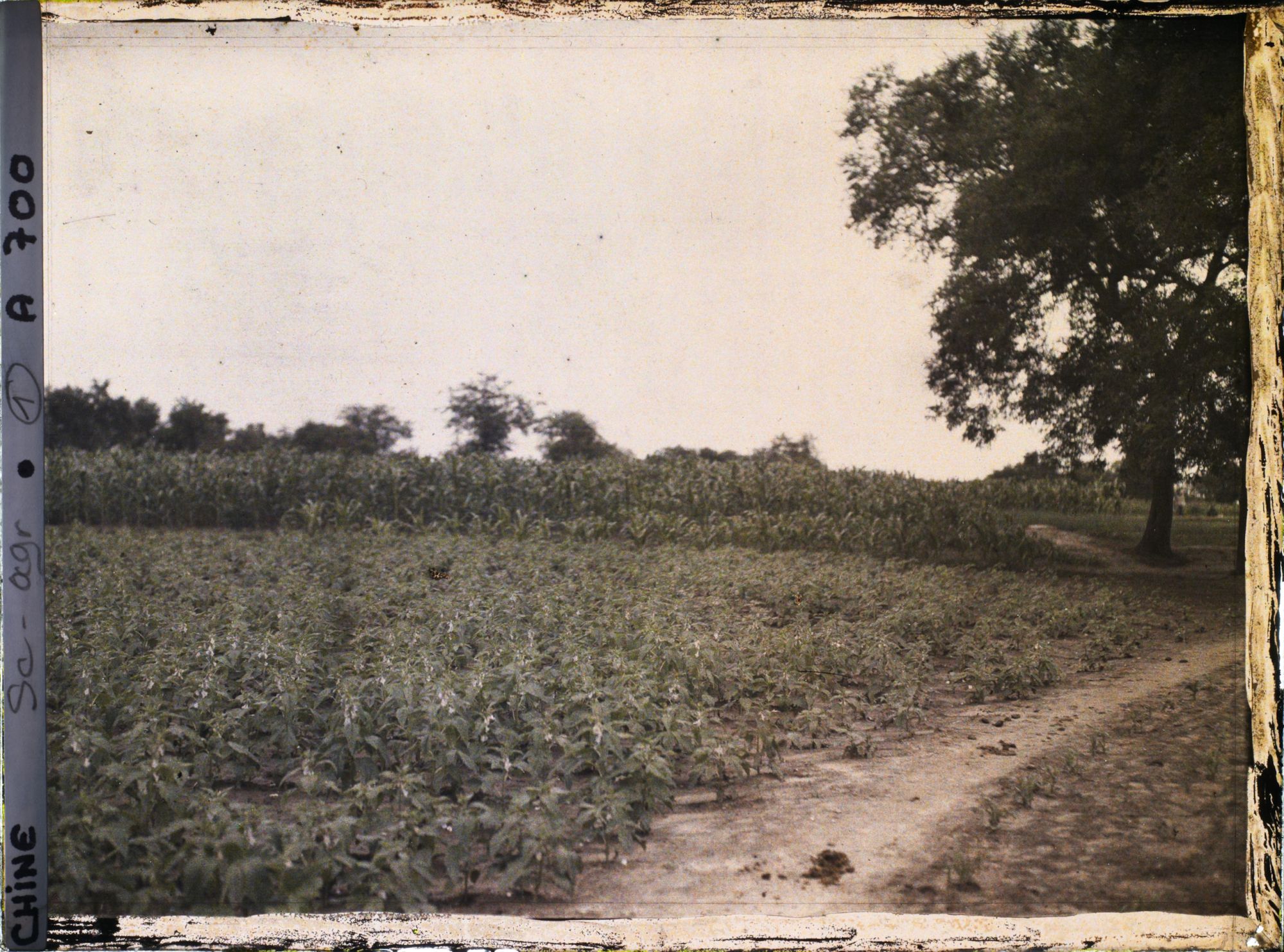 Image représentant Probablement aux environs ouest de Beijing.