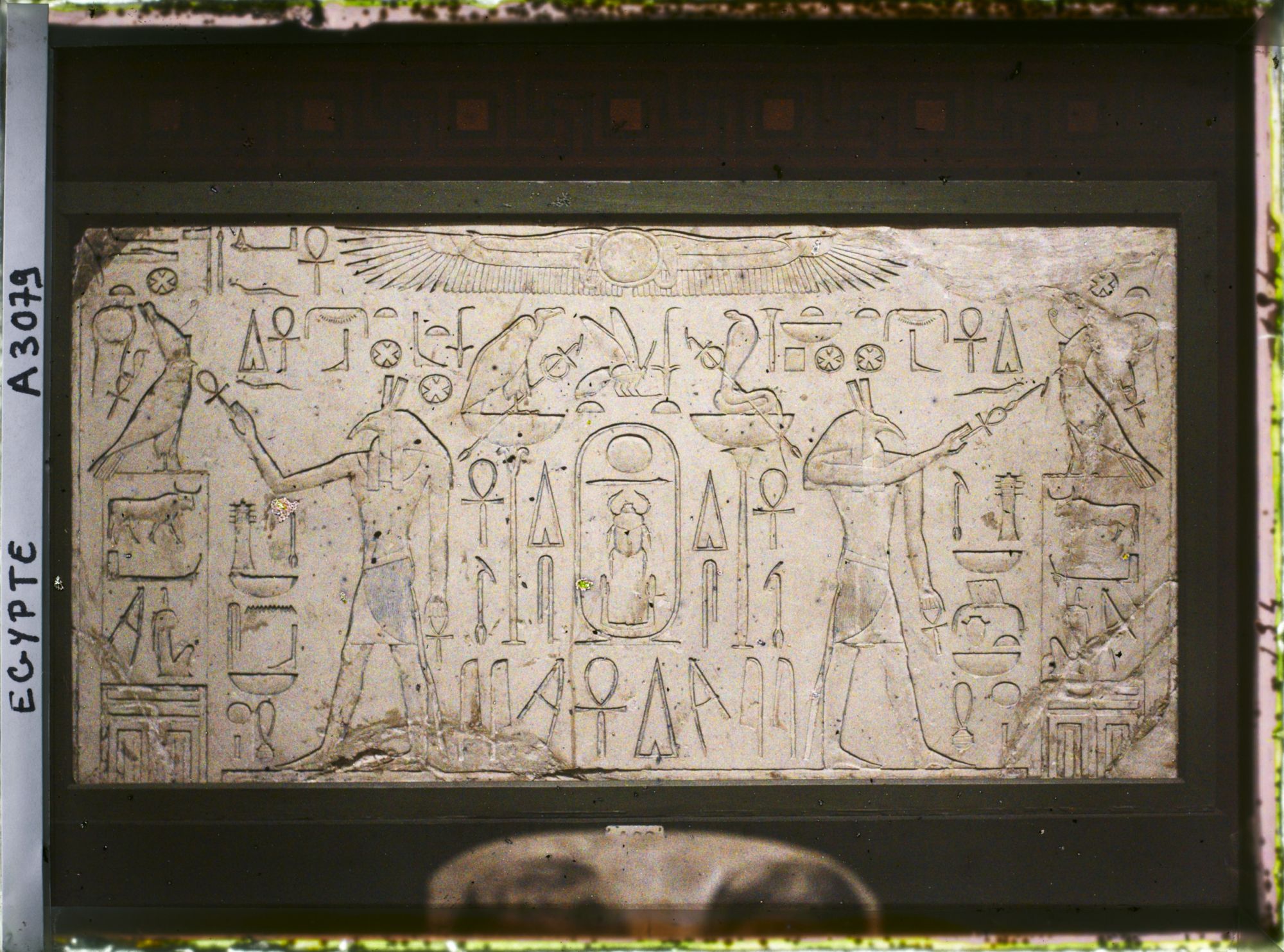 Image représentant Dessus de porte au nom de Thoutmosis Ier au musée égyptien