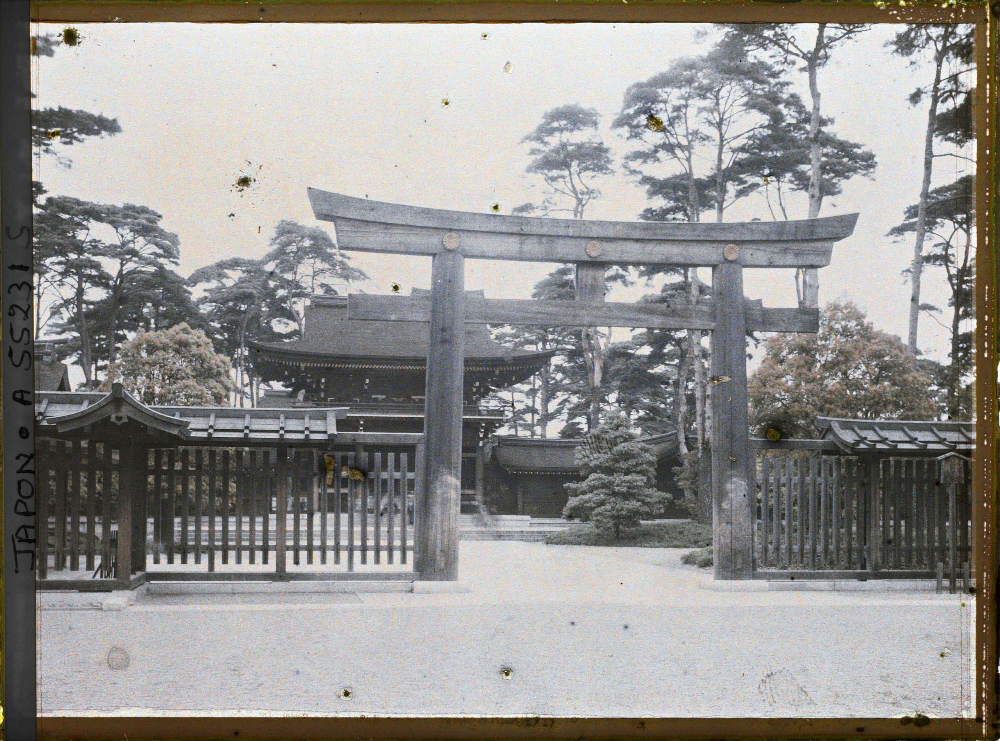 Image représentant Meiji-jingu (sanctuaire dédié à la mémoire de l'Empereur Meiji-tenno), torii et porte monumentale