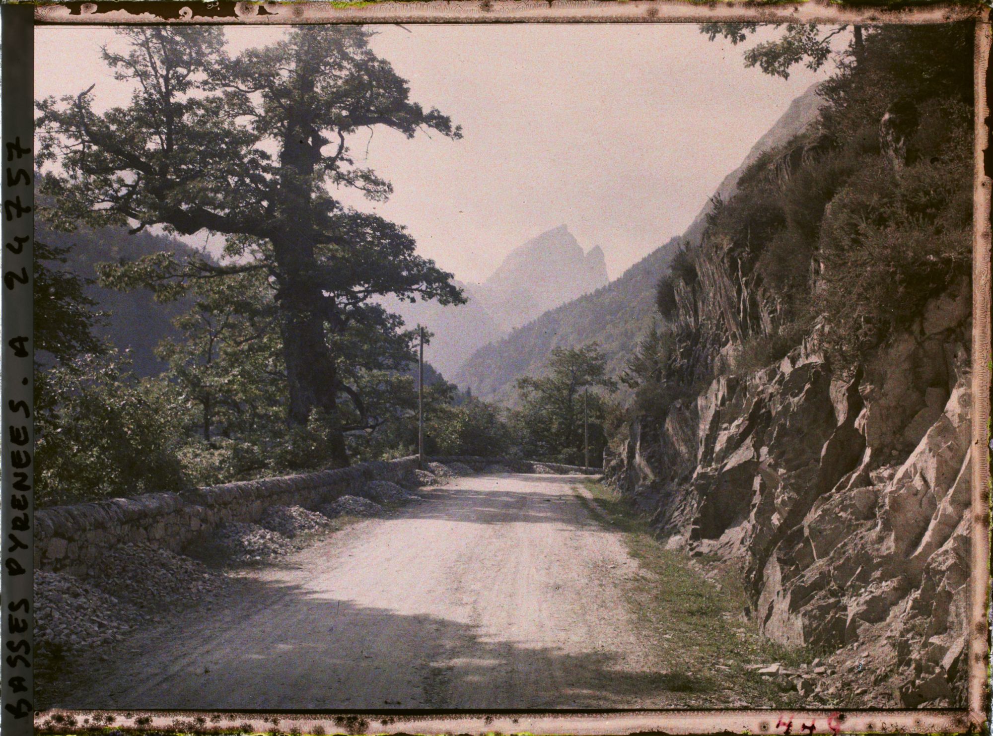 Image représentant France, Le Pic du midi vu du "Chêne de l'Ours"