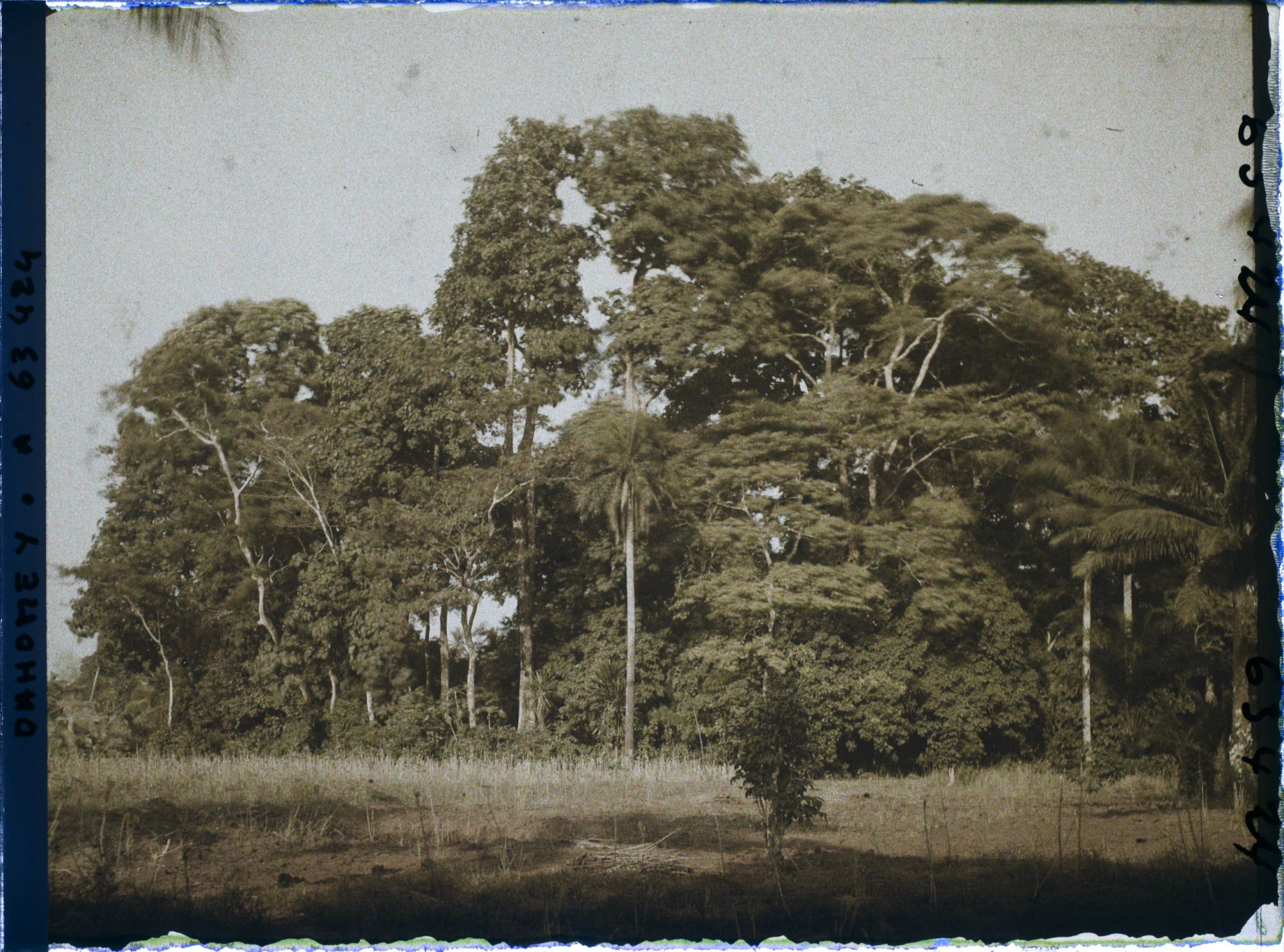 Image représentant Un bois sacré faisant office d'enclos fétichiste