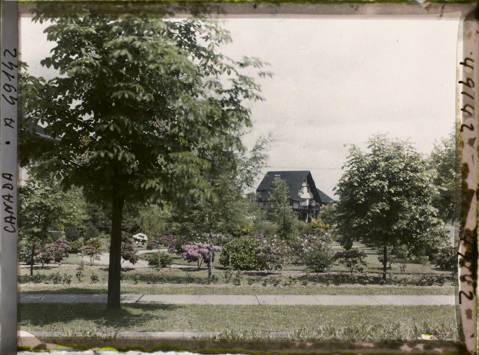 Image représentant Canada, Vancouver, Saughnessy Heights- Quartier résidentiel- autre Cottage