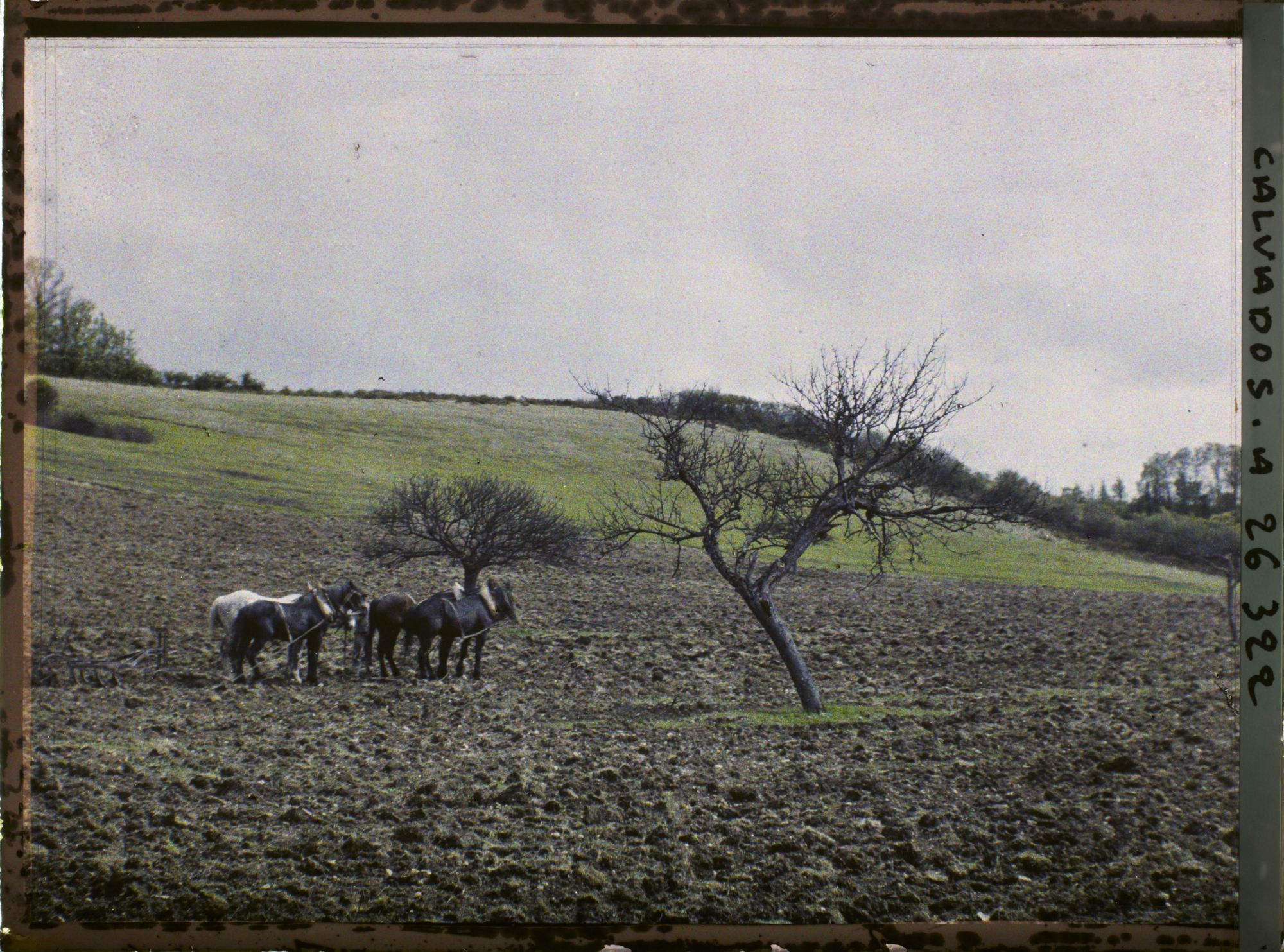 Image représentant La combe vue de la route de Commes