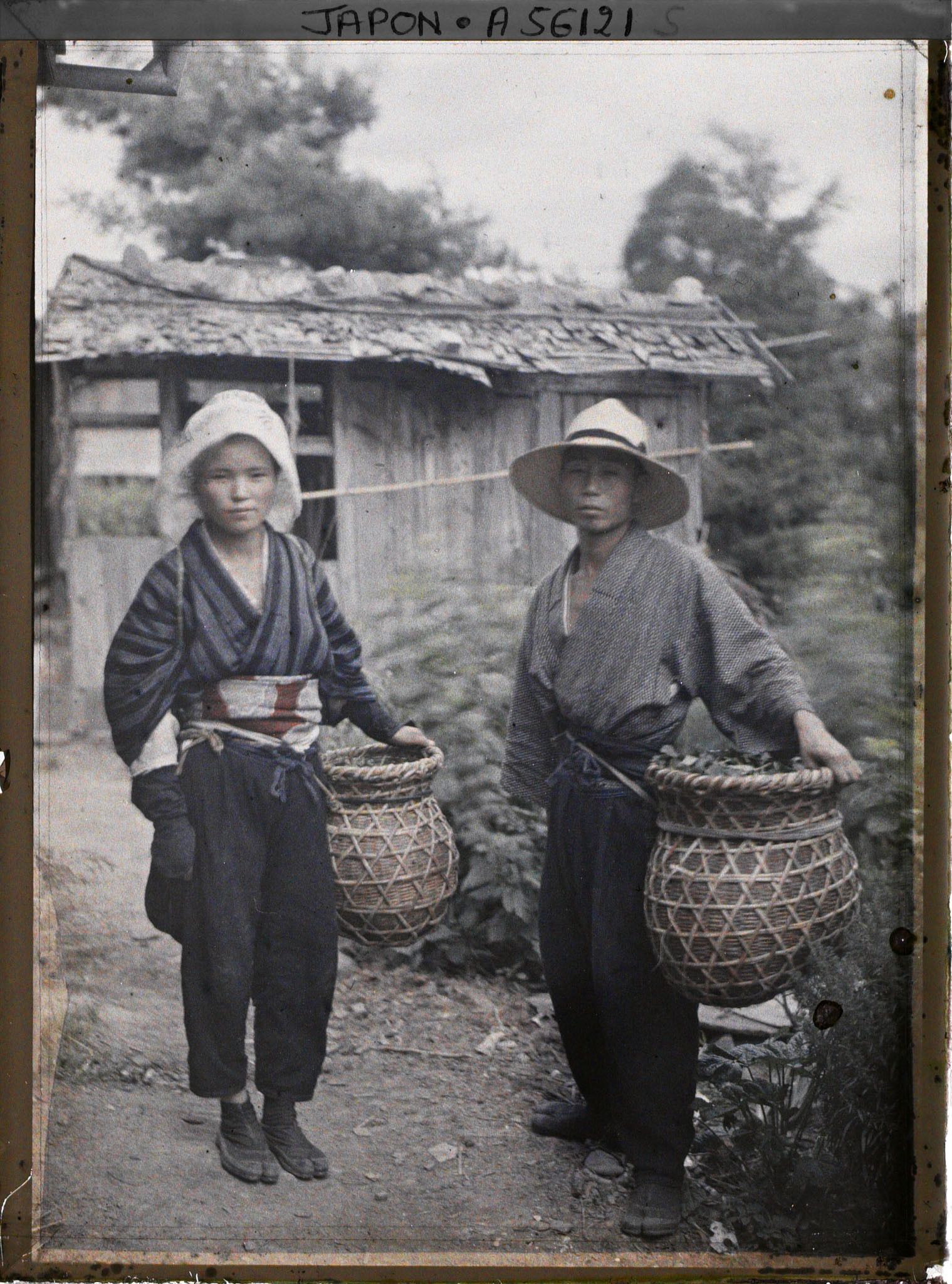 Image représentant Jeune couple revenant de la cueillette des feuilles de mûrier
