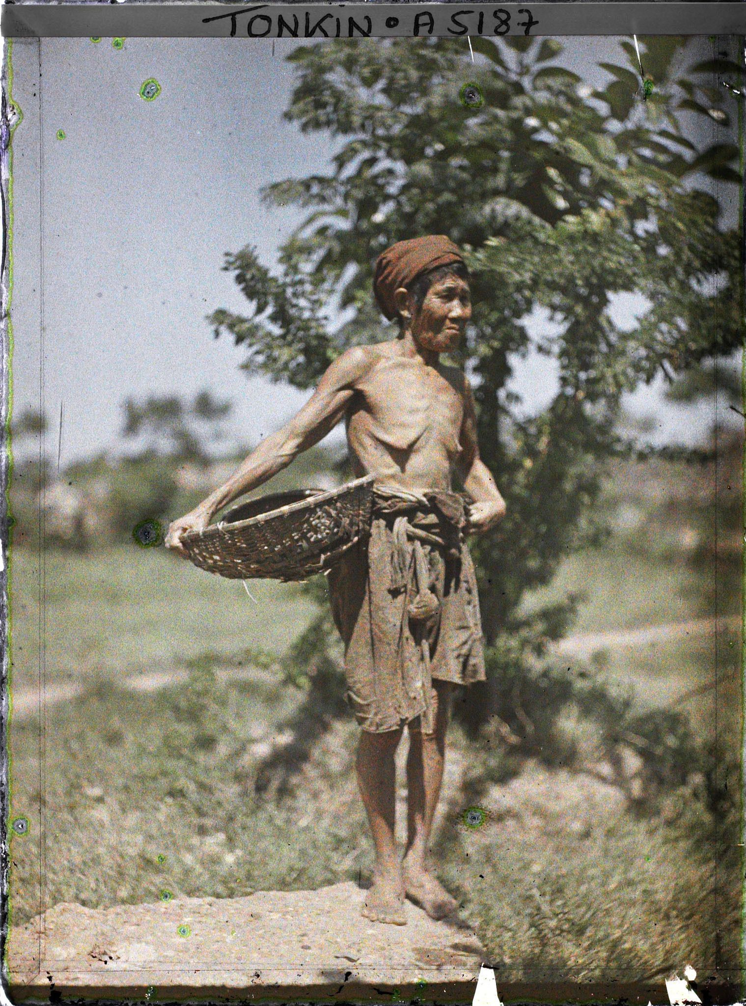 Image représentant Femme ramassant des escargots