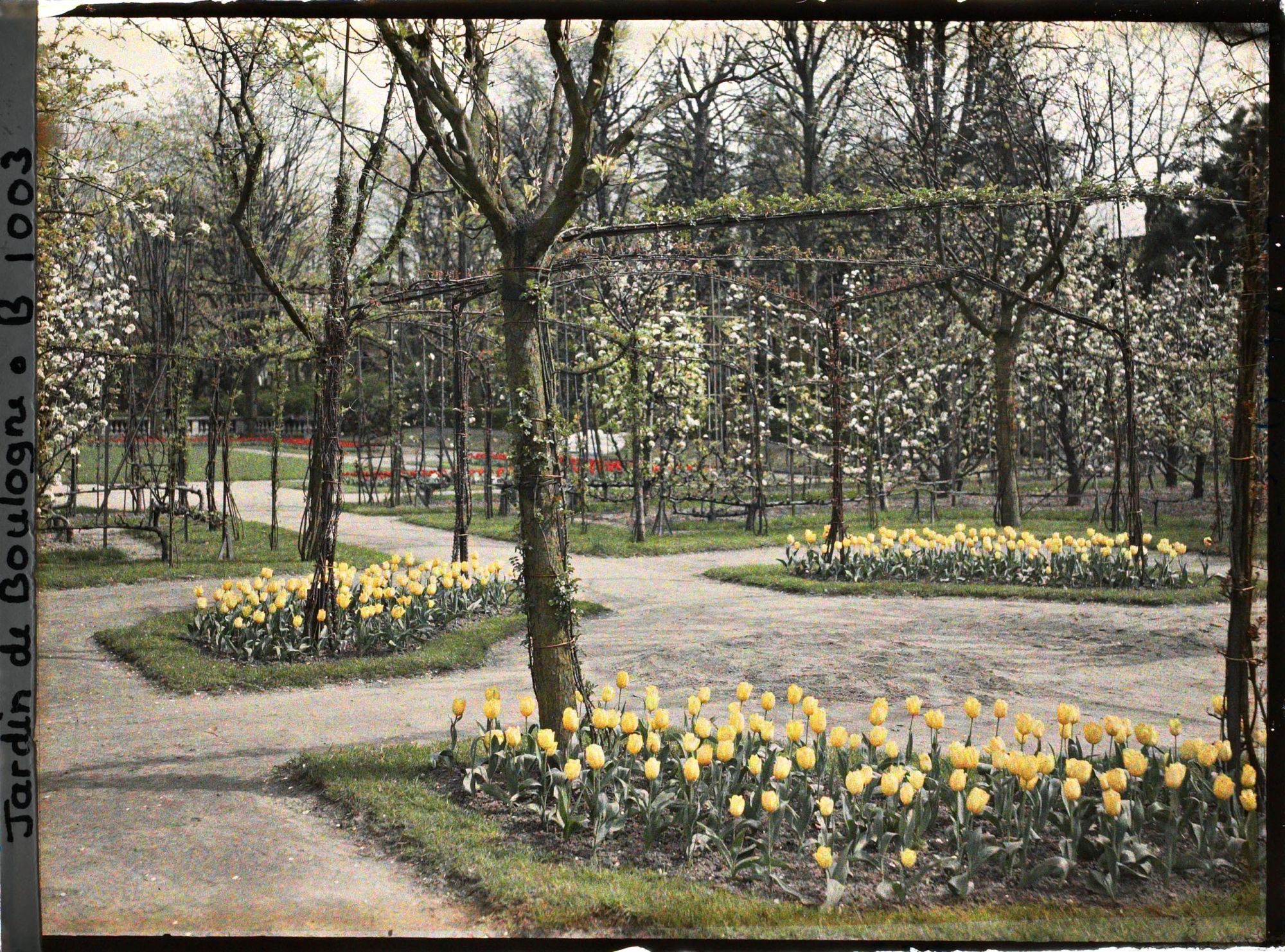 Image représentant Partie sud-est du verger-roseraie vue depuis le rond-point fleuri, proche du jardin français