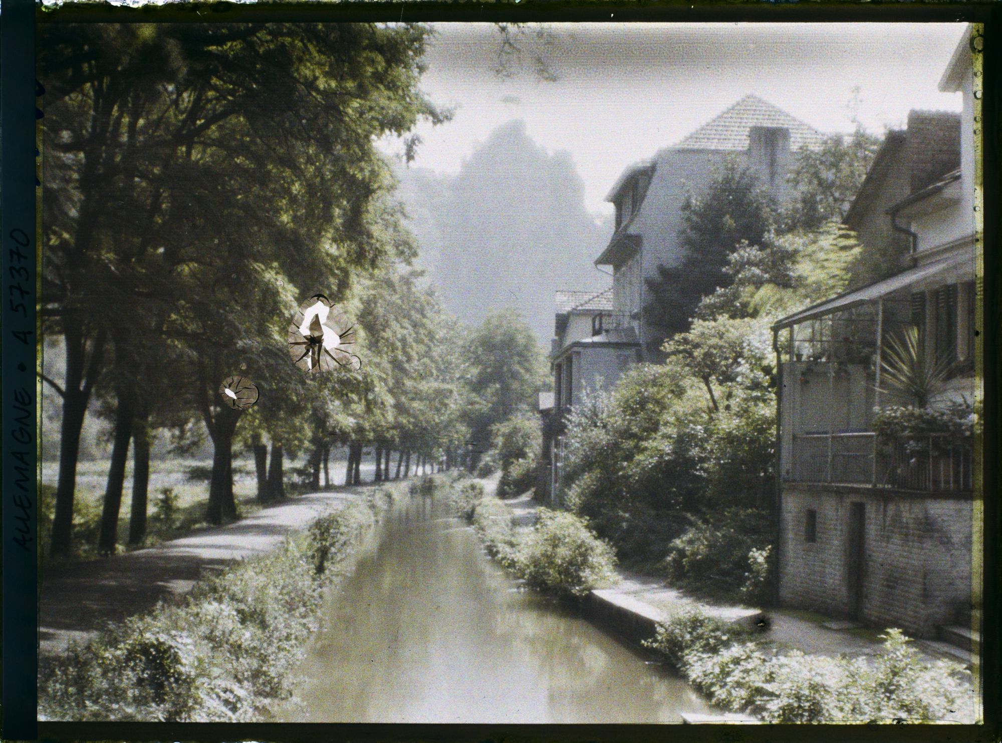 Image représentant Bords du Rhin, Badmünster, Paysages divers