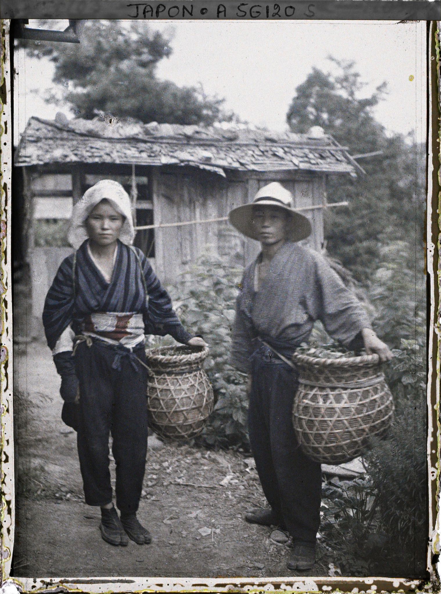 Image représentant Jeune couple revenant de la cueillette des feuilles de mûrier