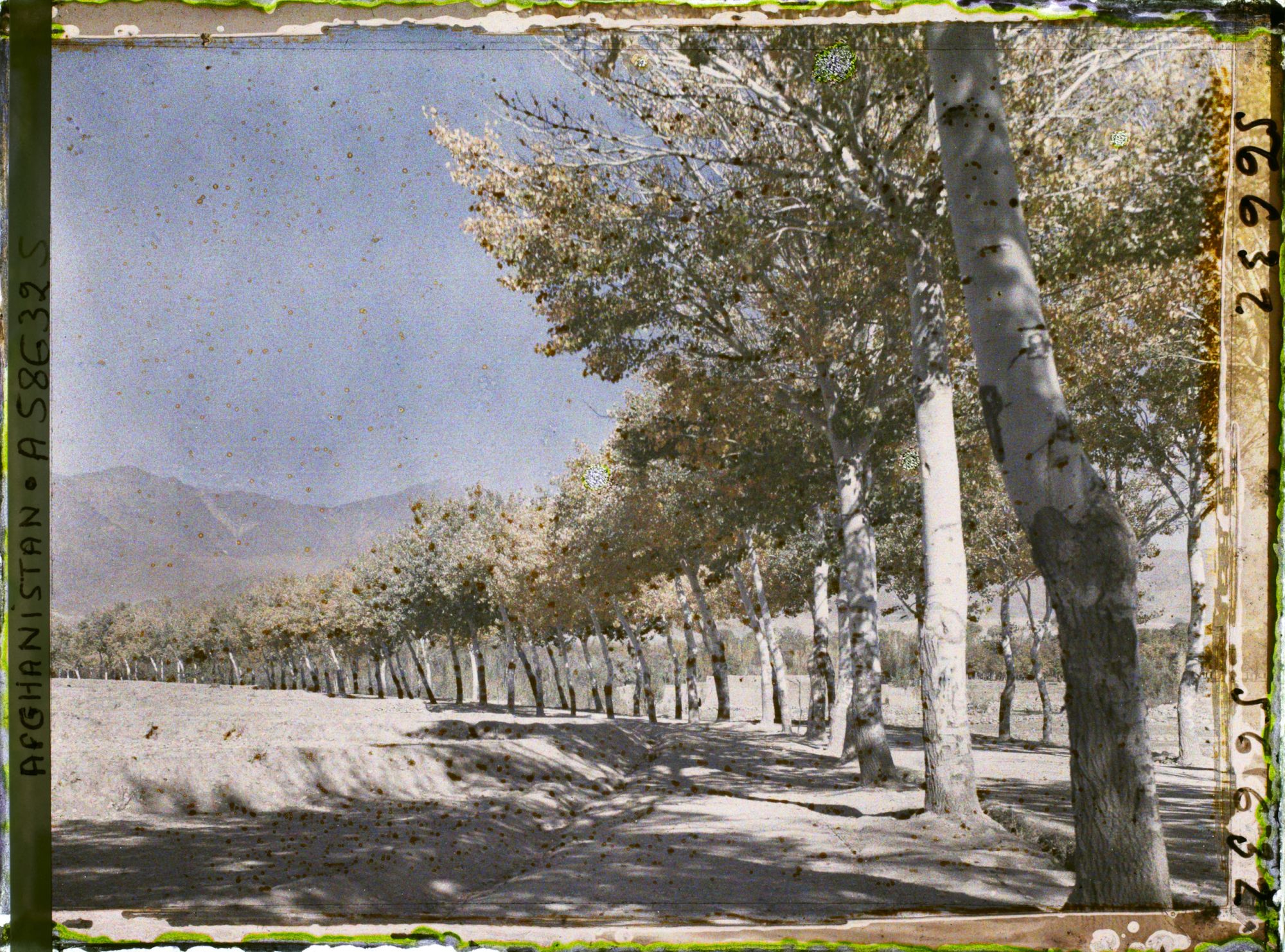 Image représentant IF961_A058632.jpg