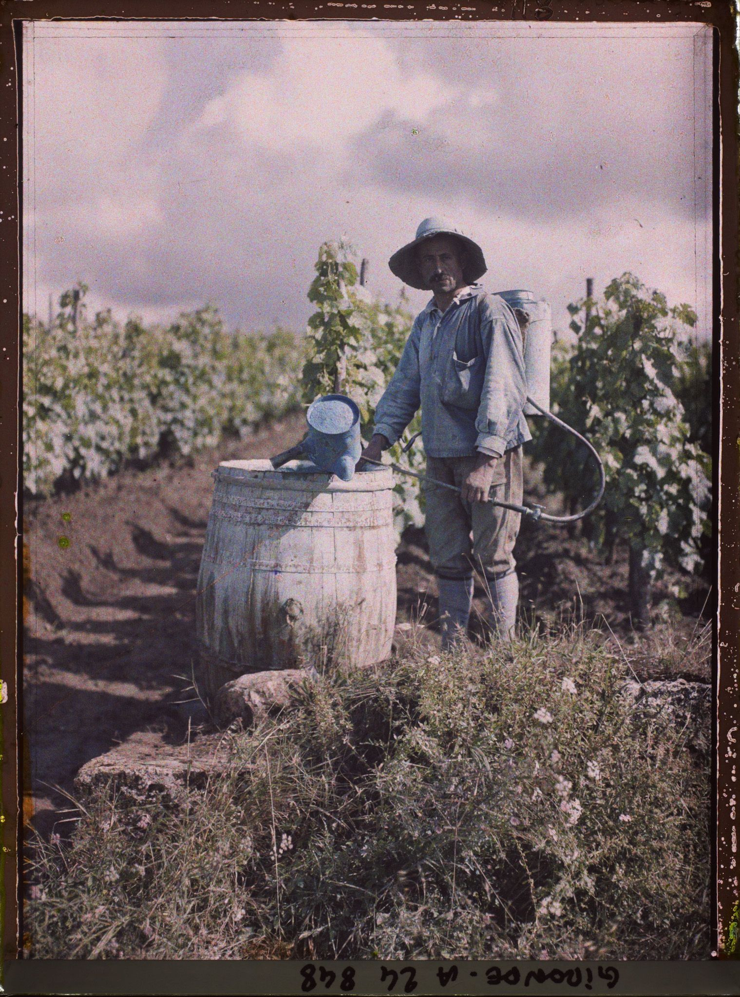 Image représentant Un sulfateur pendant les vendanges