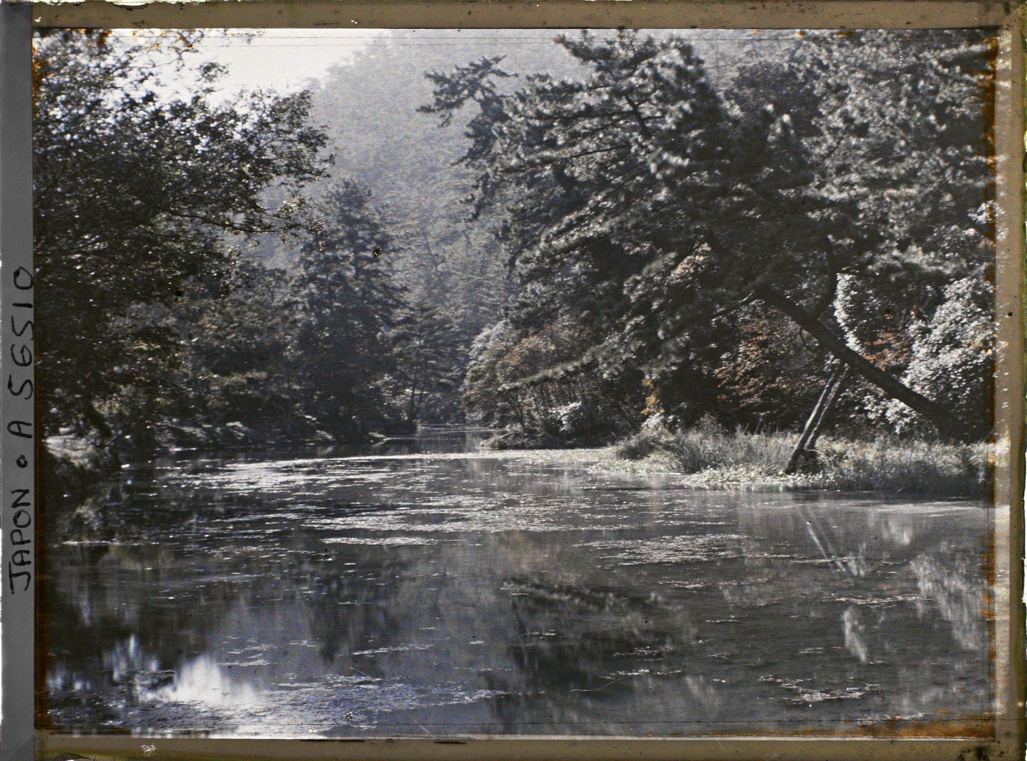 Image représentant Parc Ritsurin-koen (ou Kuribayashi-koen) : l'étang de l'ouest (Seiko-ike)