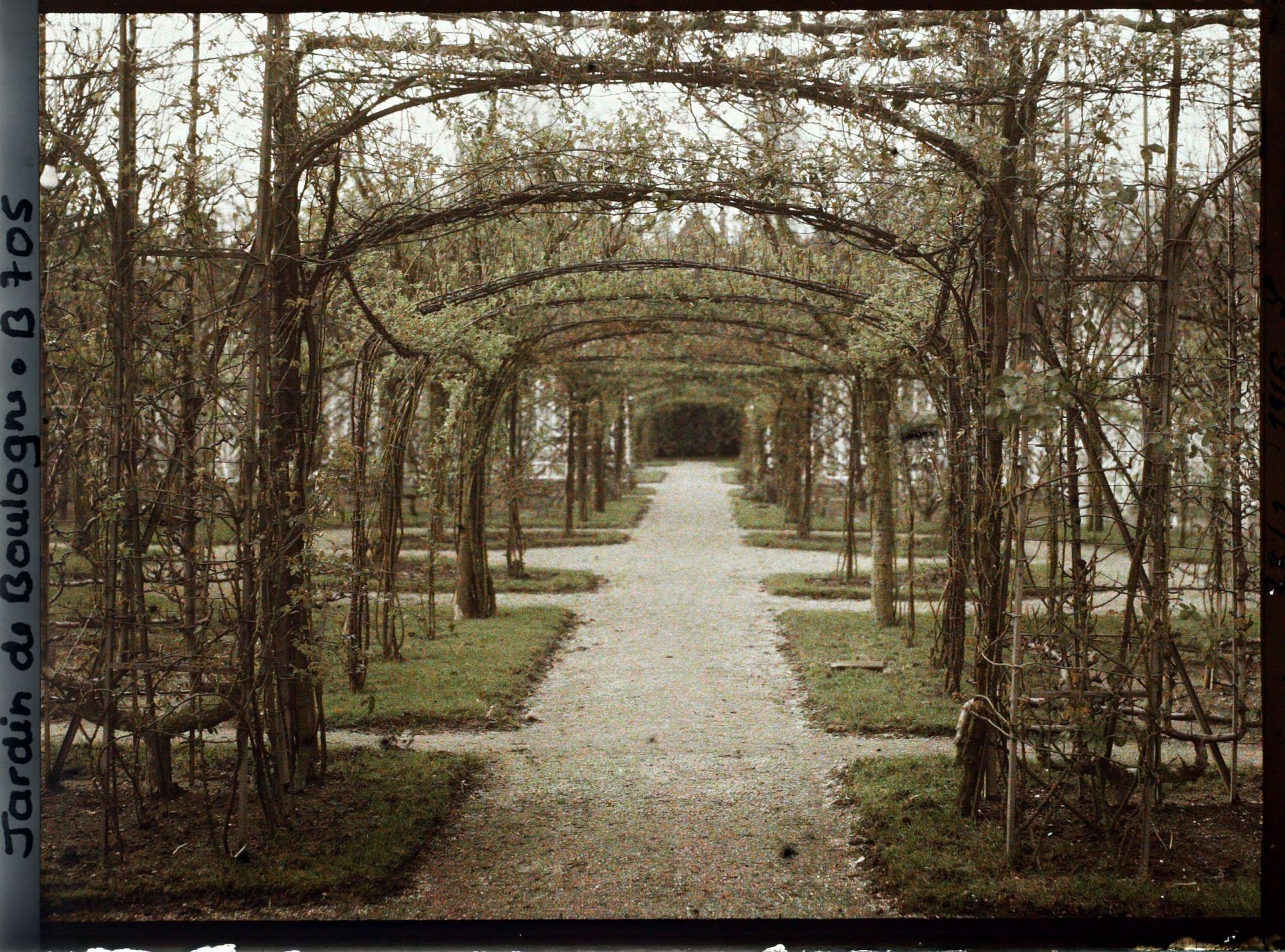 Image représentant Axe central du verger-roseraie vu en direction de la dépendance, à la limite du jardin français