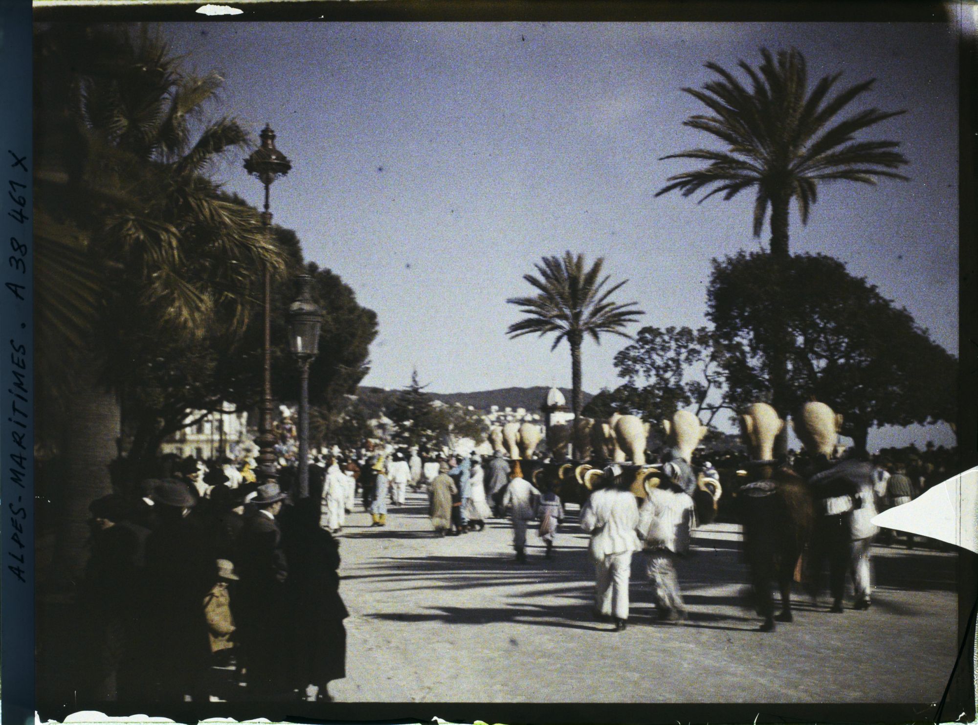 Image représentant Le carnaval, thème le pêcheur Niçois berné