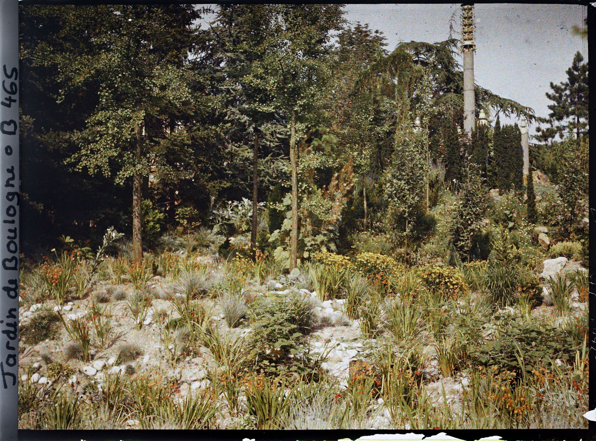Image représentant Sôrintô s'élevant au-delà d'une partie rocailleuse du " sanctuaire japonais "