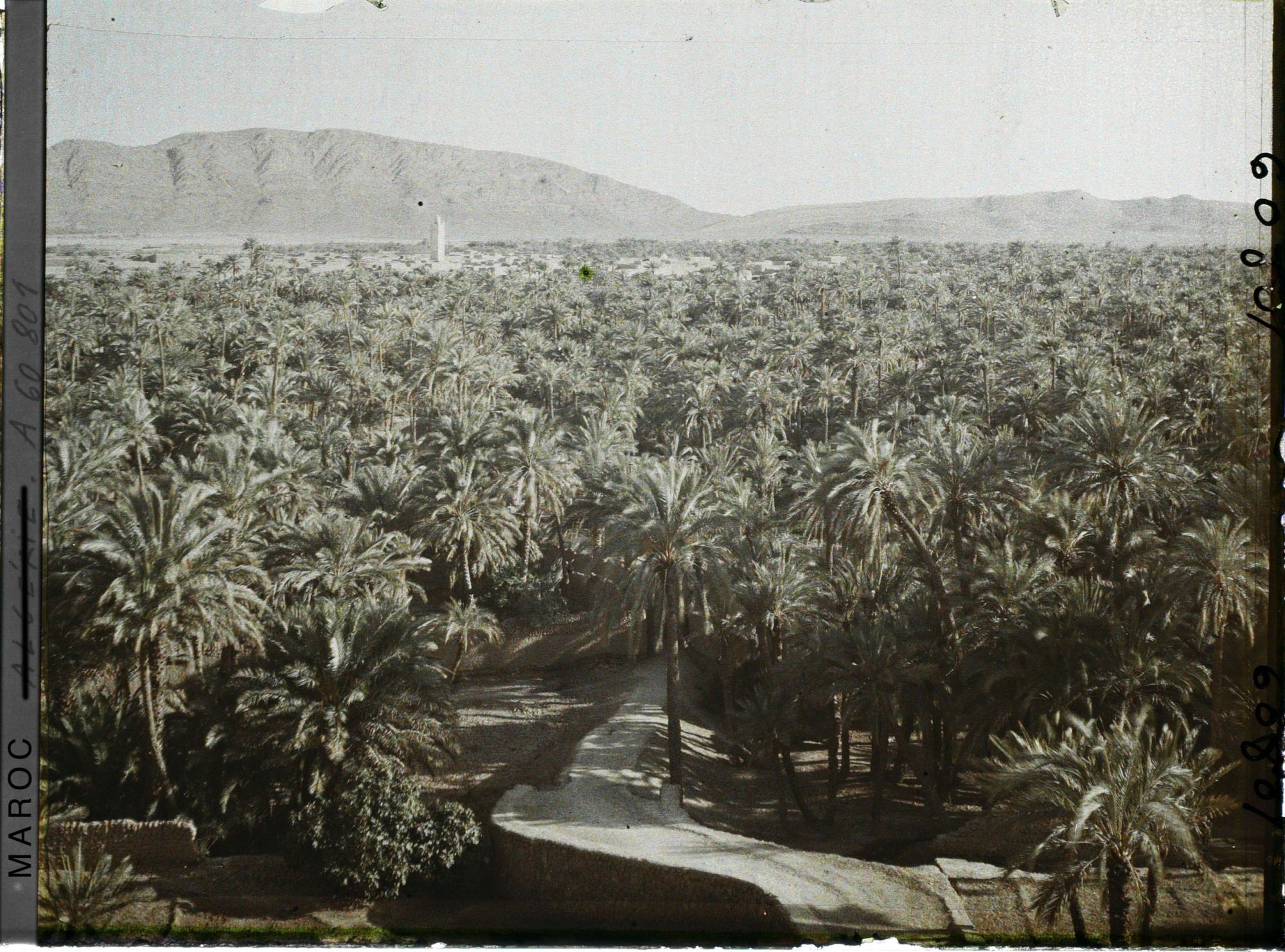 Image représentant La palmeraie et le village de Zenaga