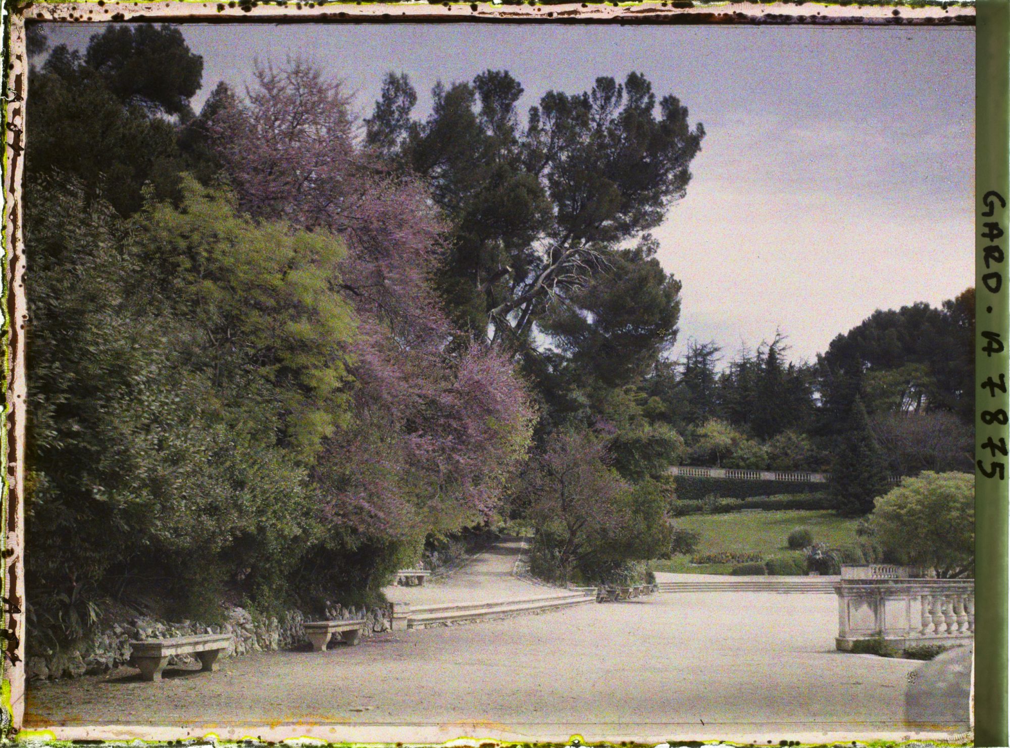 Image représentant Les jardins de la Fontaine