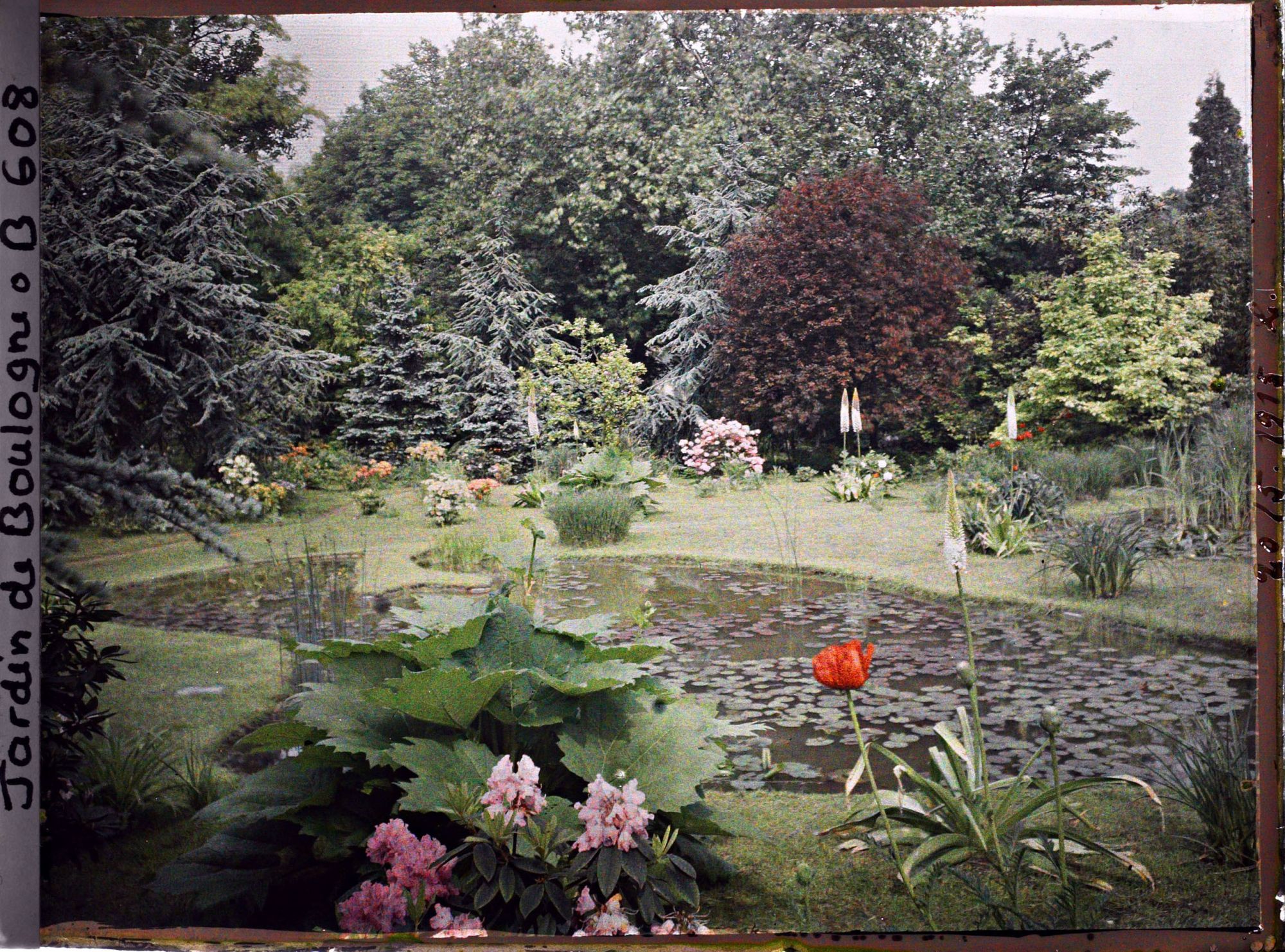 Image représentant Le marais