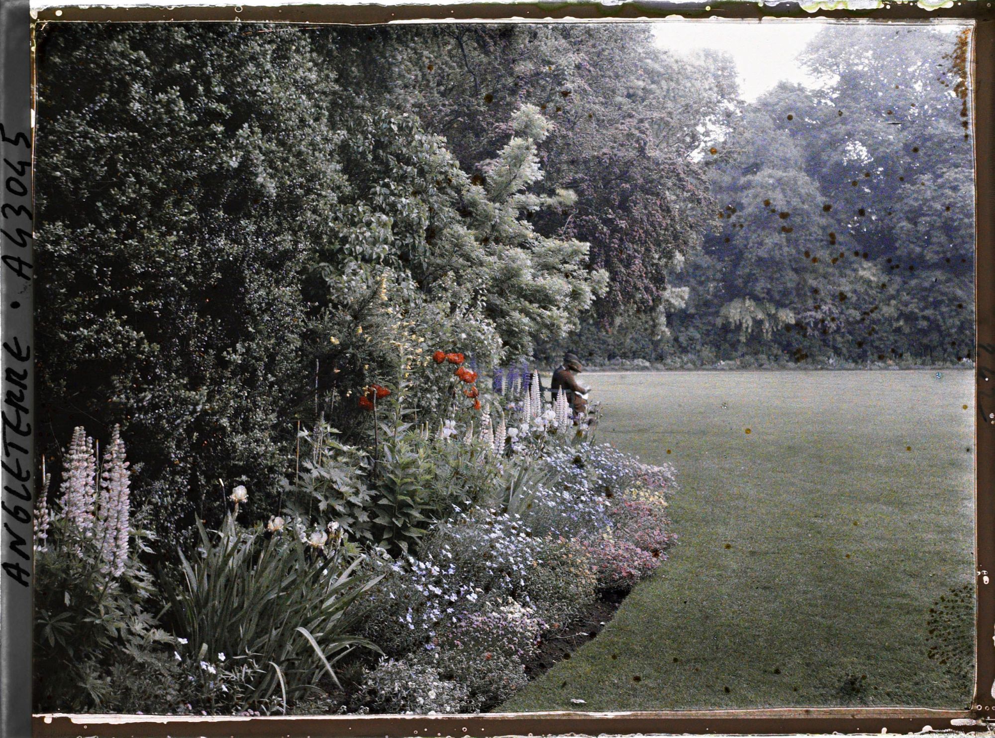 Image représentant Un coin de la pelouse du Saint John's College