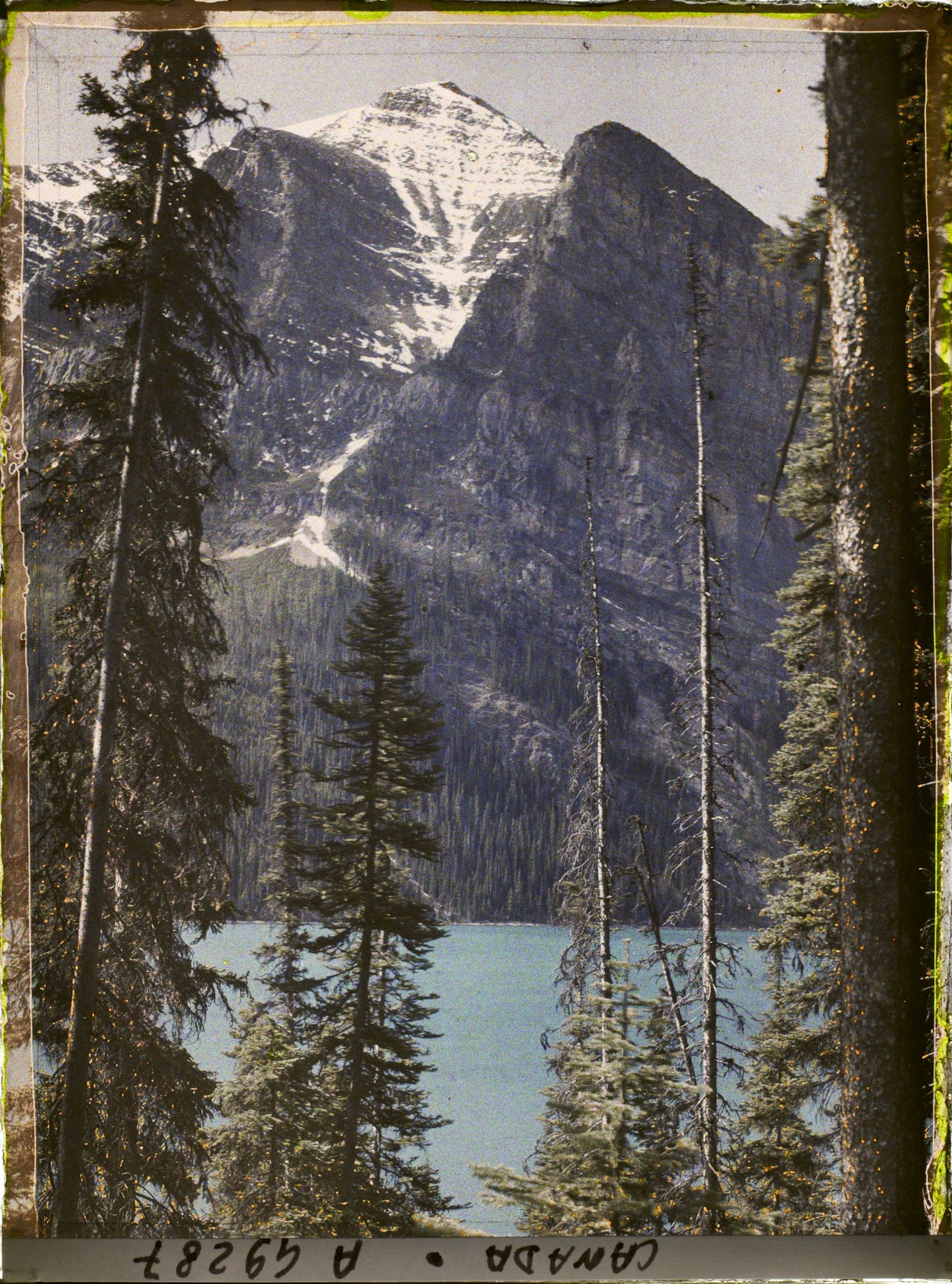 Image représentant Canada, Lac Louise, Le Lac et le Mt Fairwiev entre les arbres