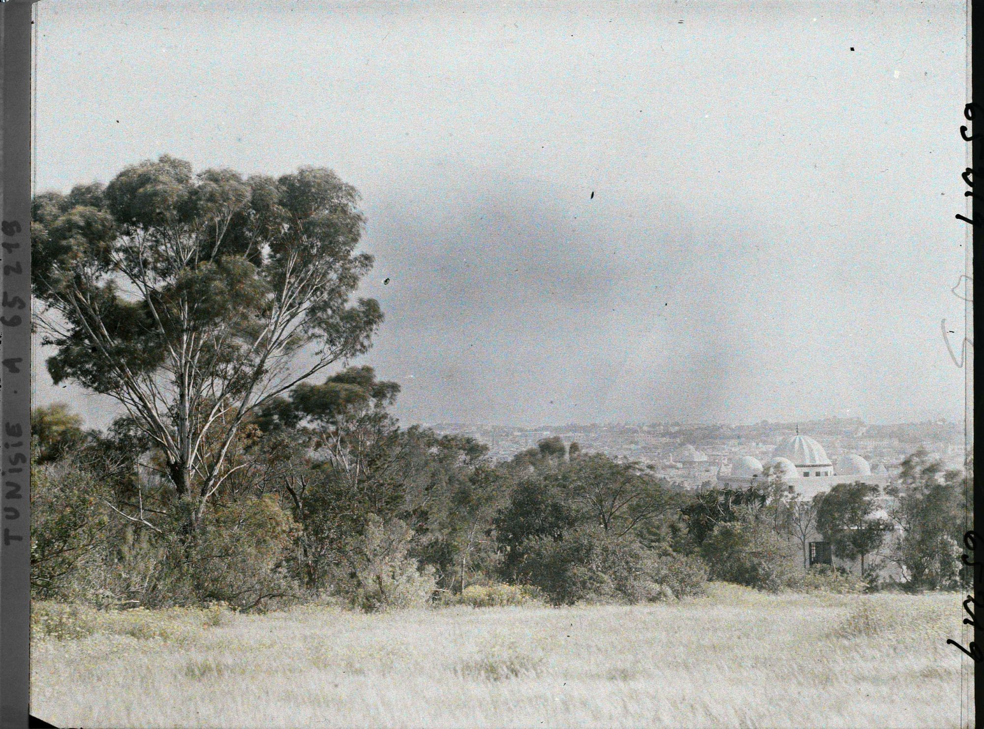 Image représentant Vue de Tunis prise depuis le parc du Belvédère