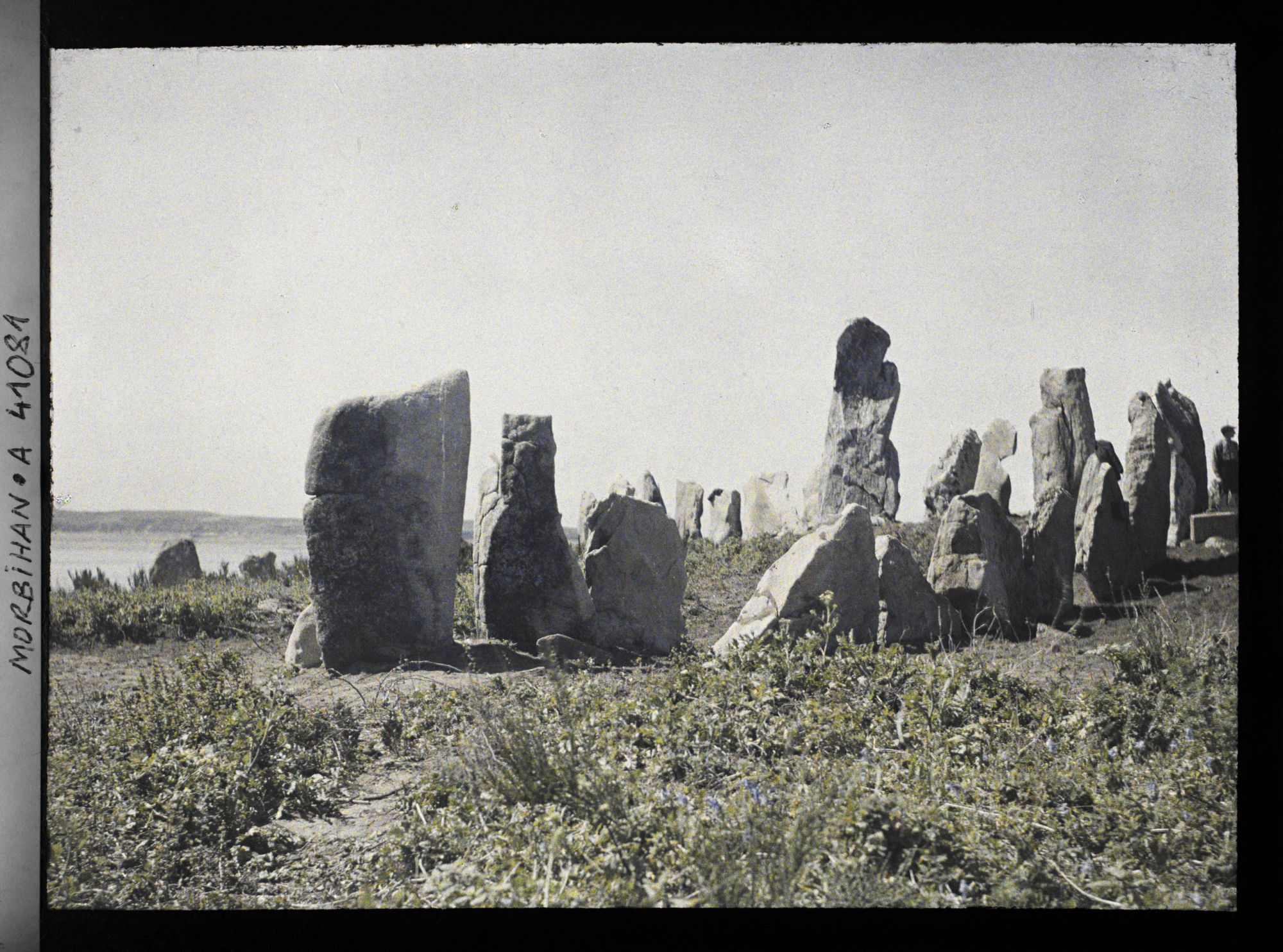 Image représentant L'un des cromlechs d'Er Lannic