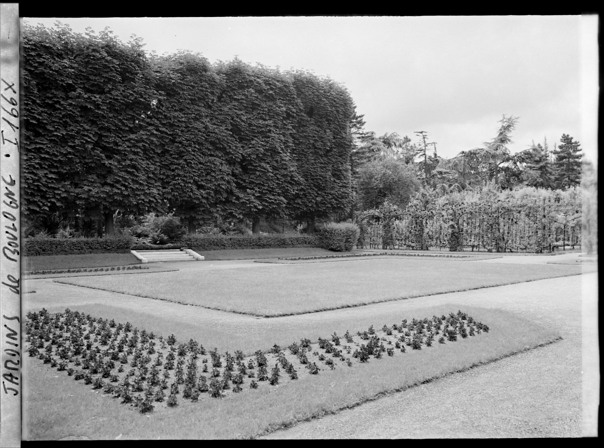 Image représentant Le jardin français vu depuis son parterre nord-est