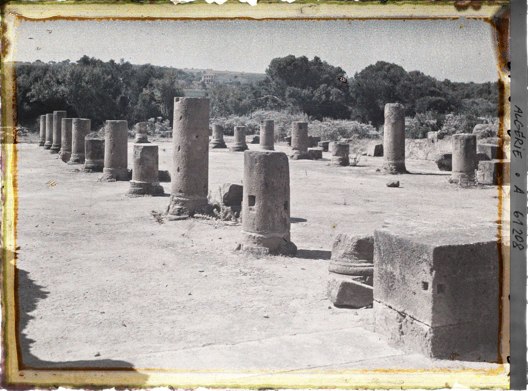 Image représentant La basilique judiciaire