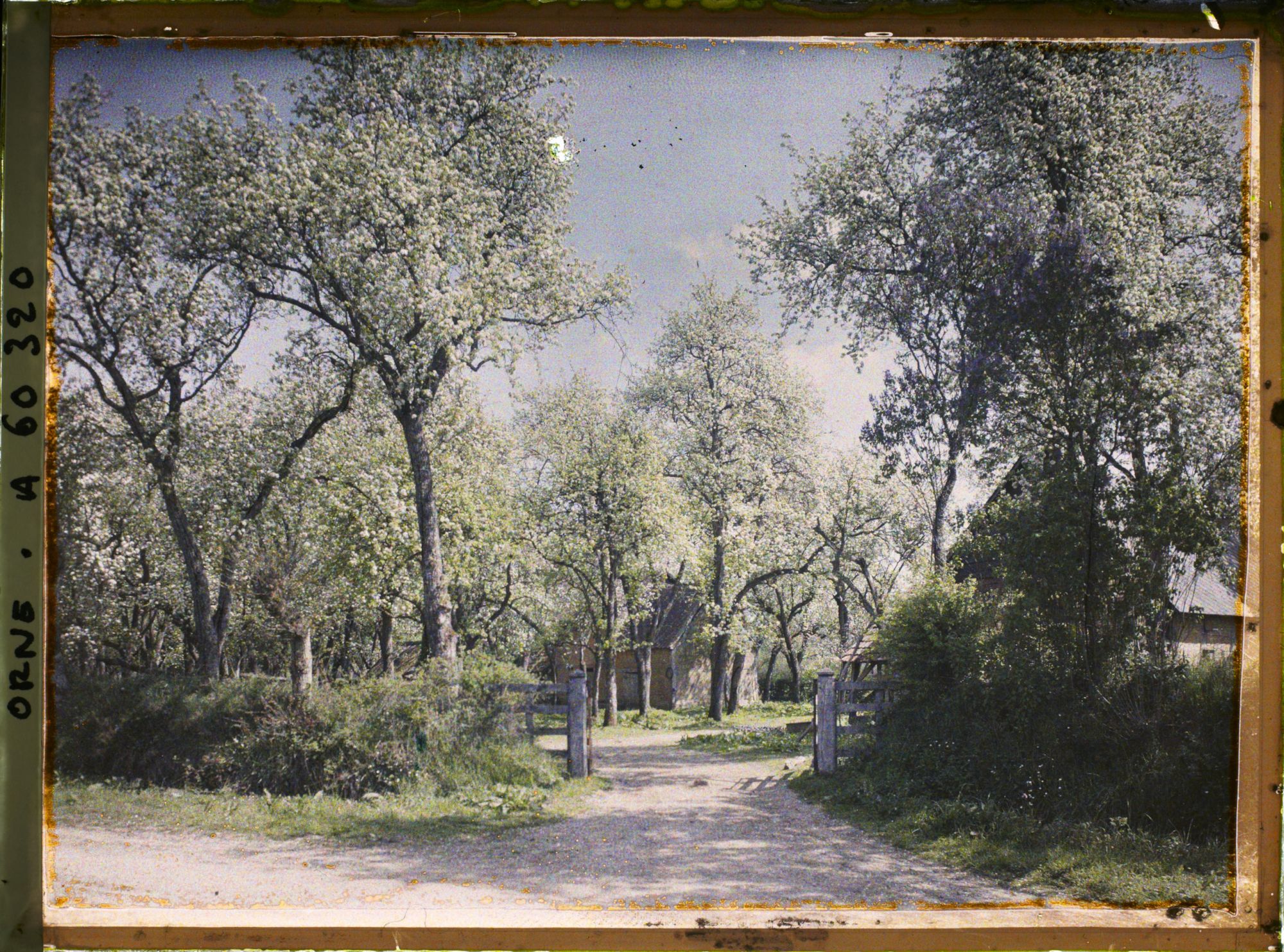 Image représentant Lieu-dit La Héronnière