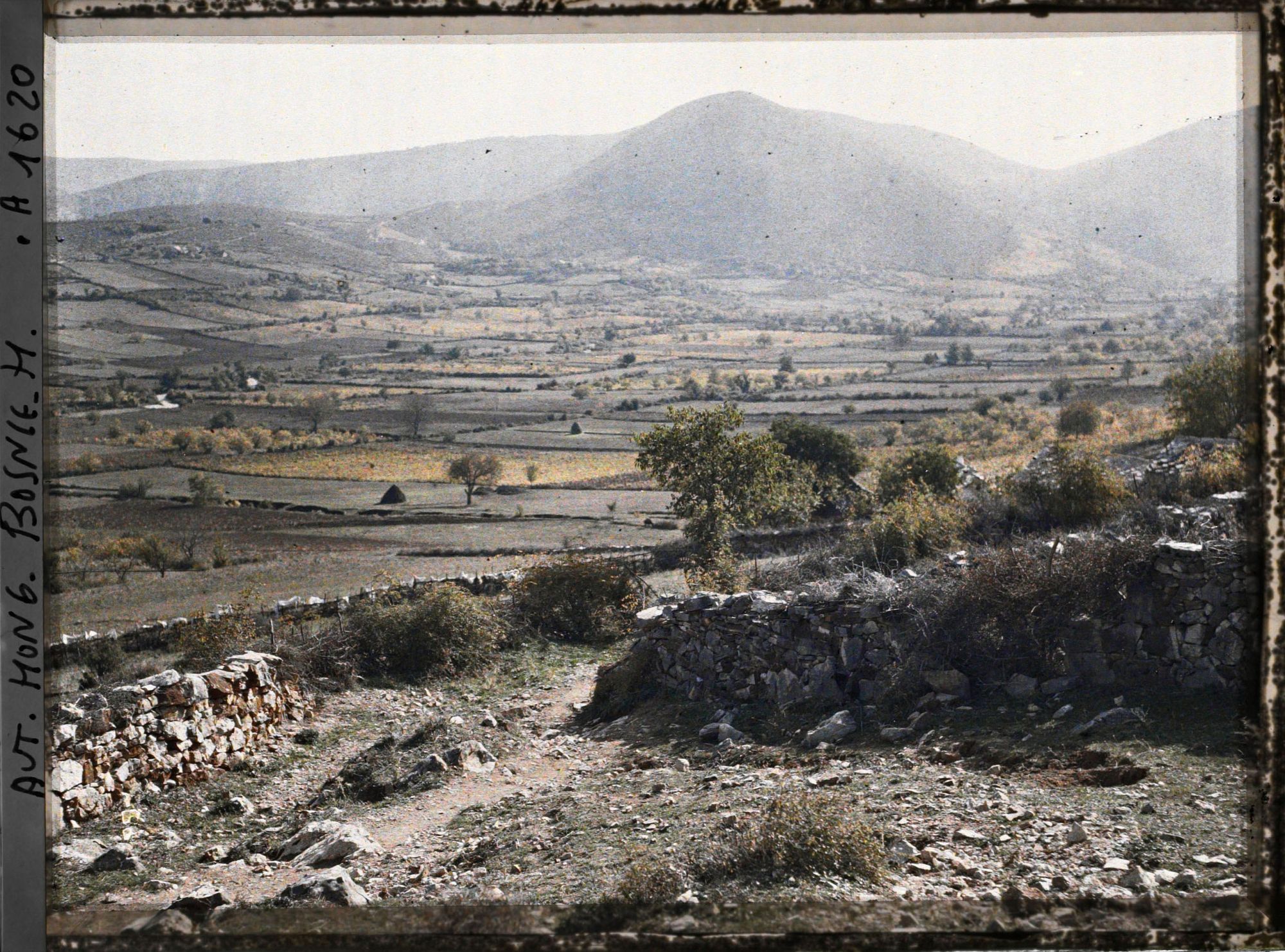 Image représentant Panorama sur la vallée de la Buna parsemée de vignobles et de champs