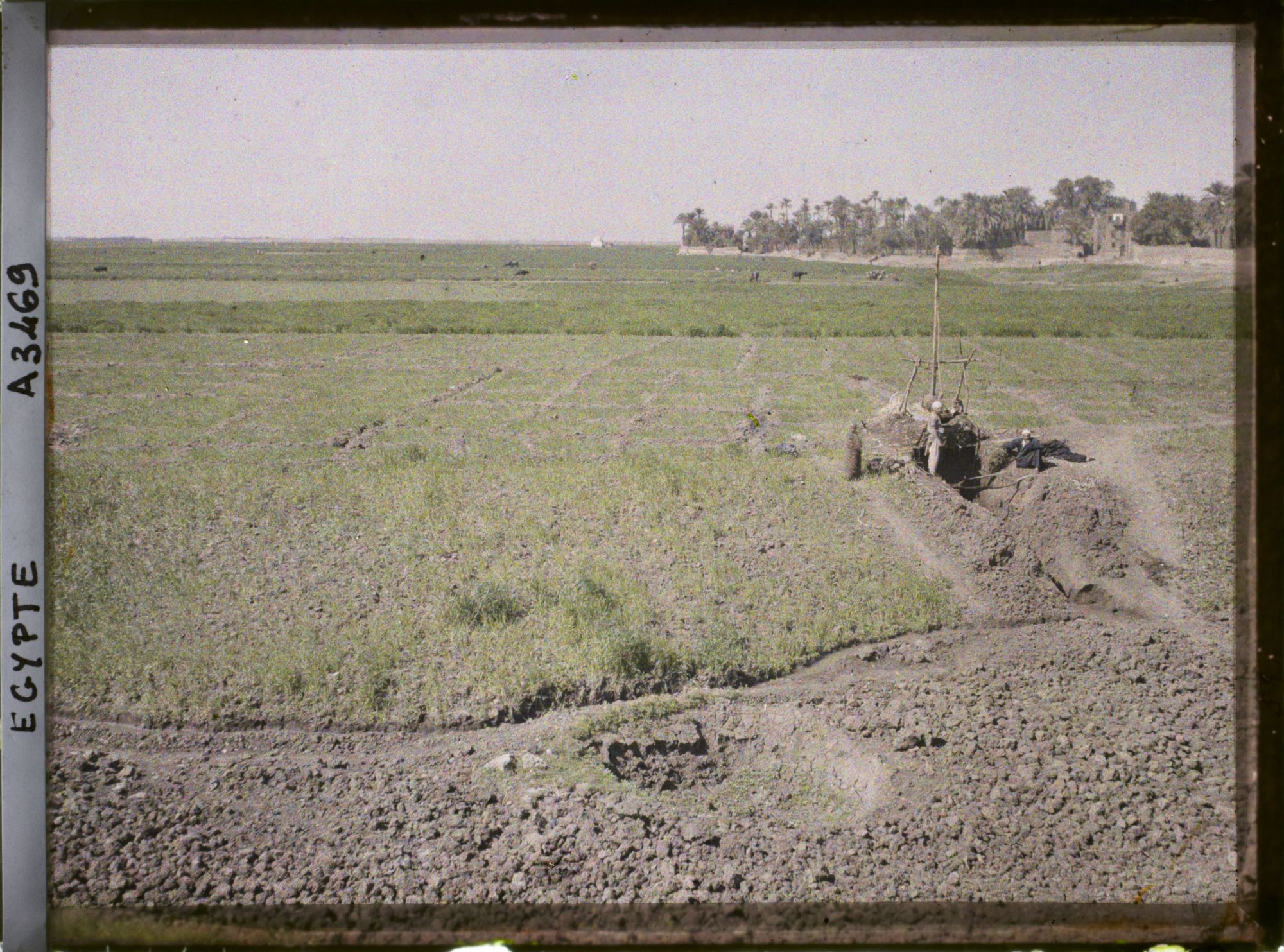 Image représentant Des hommes puisant de l'eau grâce à un  null chadouf près du village