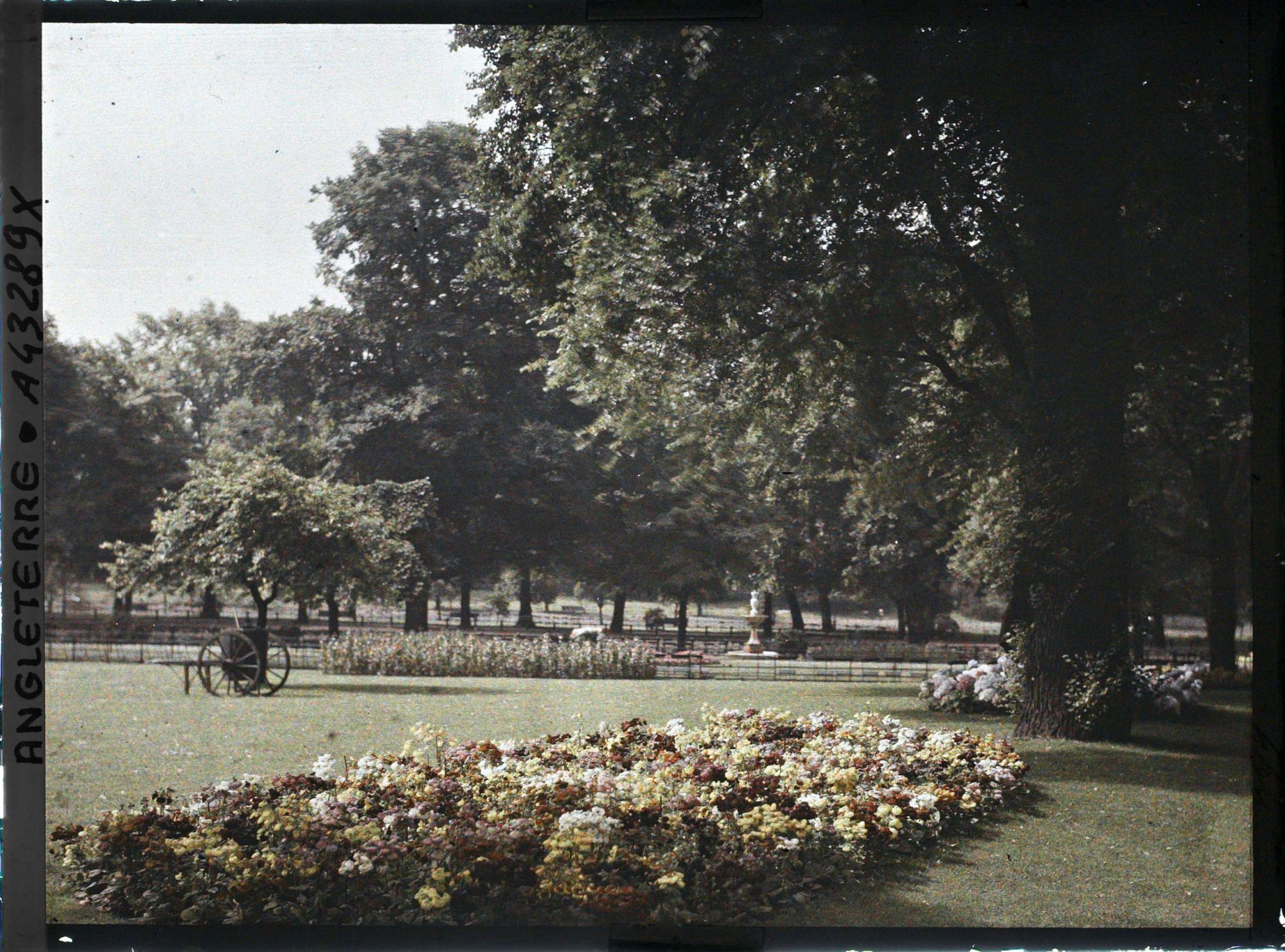 Image représentant Vues diverses d'Hyde Parc les jardins