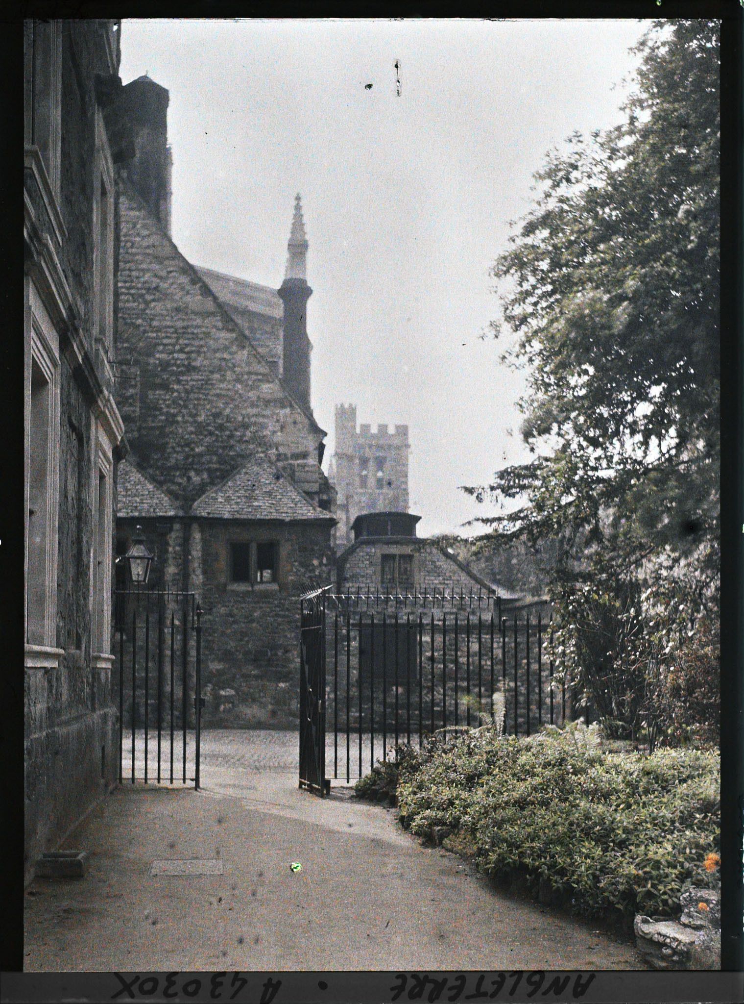 Image représentant Sortie du jardin du New College