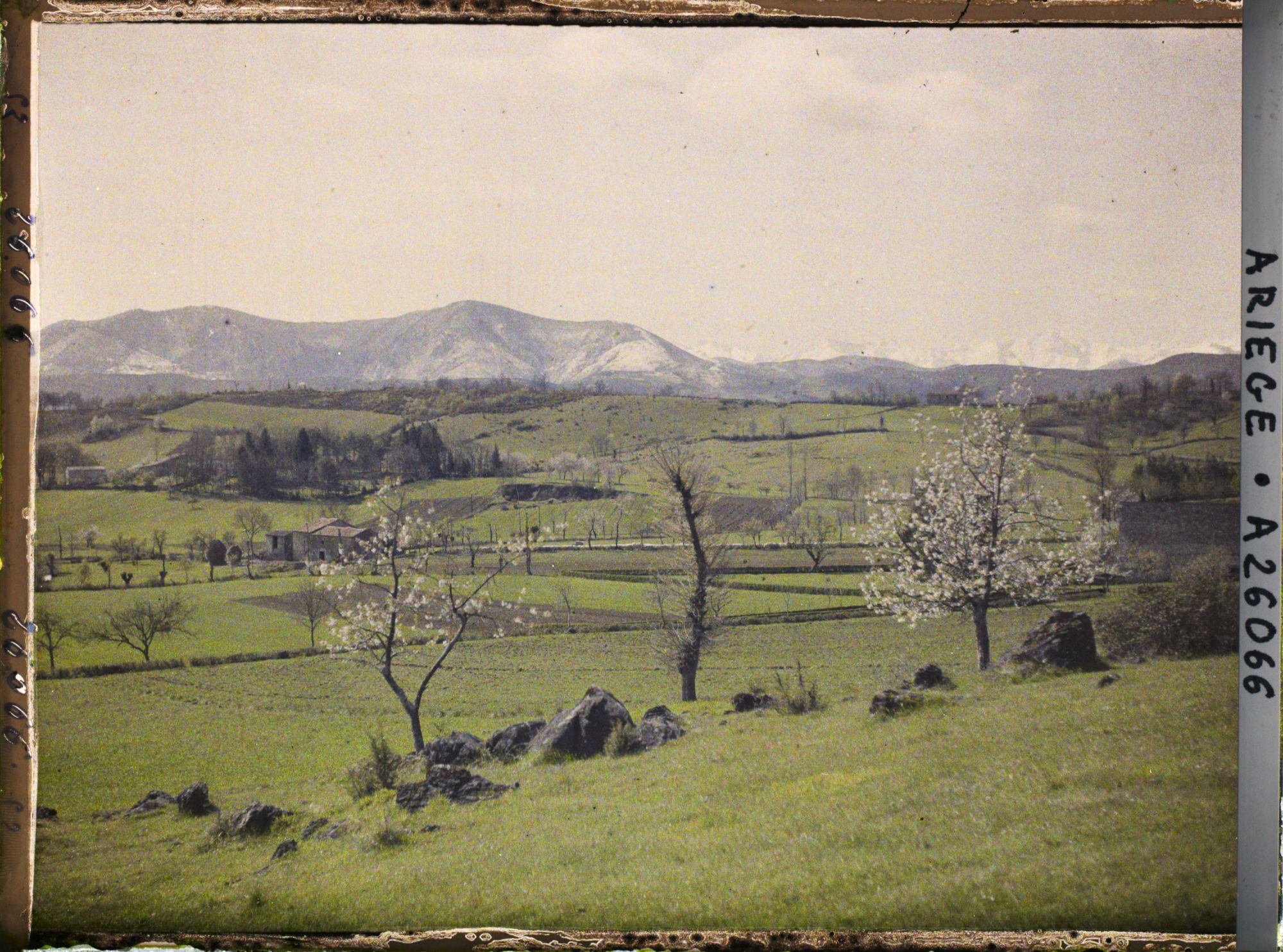 Image représentant Les grands cirques avec au premier plan, deux cerisiers sauvages en fleurs