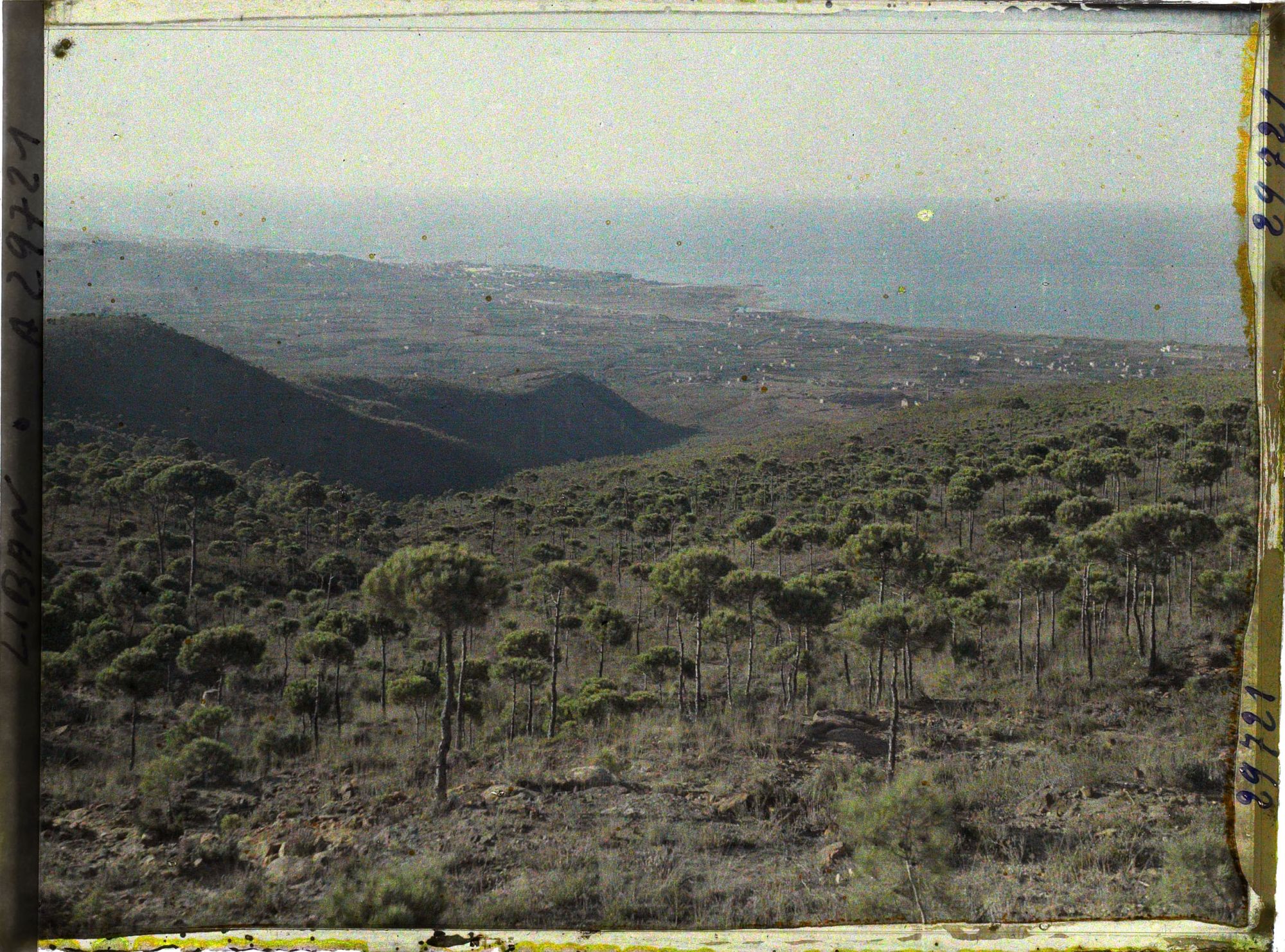 Image représentant Vue sur la baie de Beyrouth