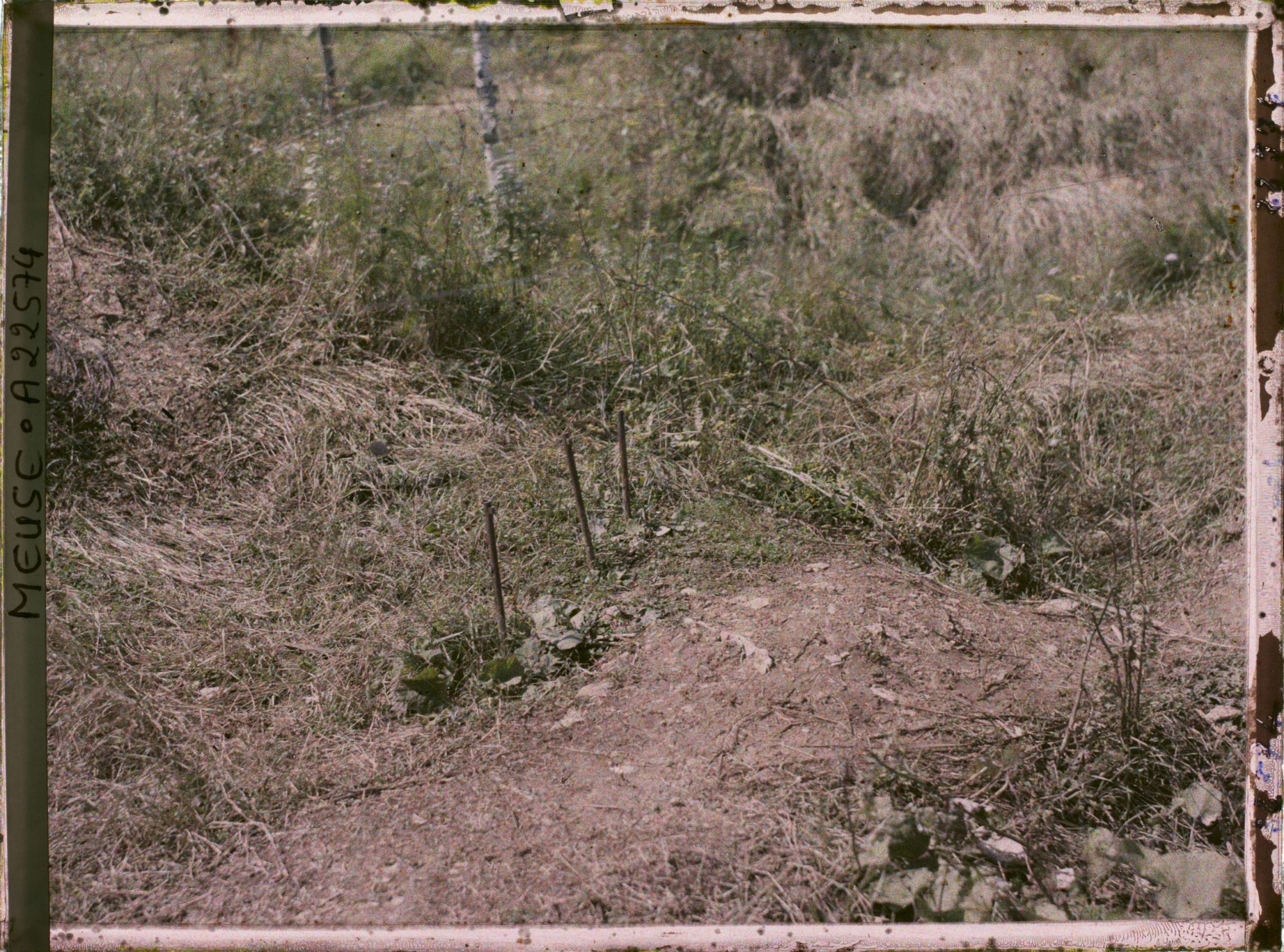 Image représentant France, Douaumont, Tranchée des Baïonnettes (3 fusils)