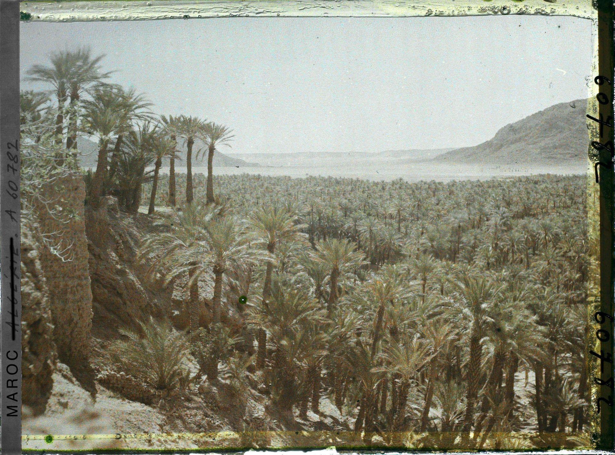 Image représentant L'oasis et la plaine de Baghdad avec à droite, le Djebel Taghla