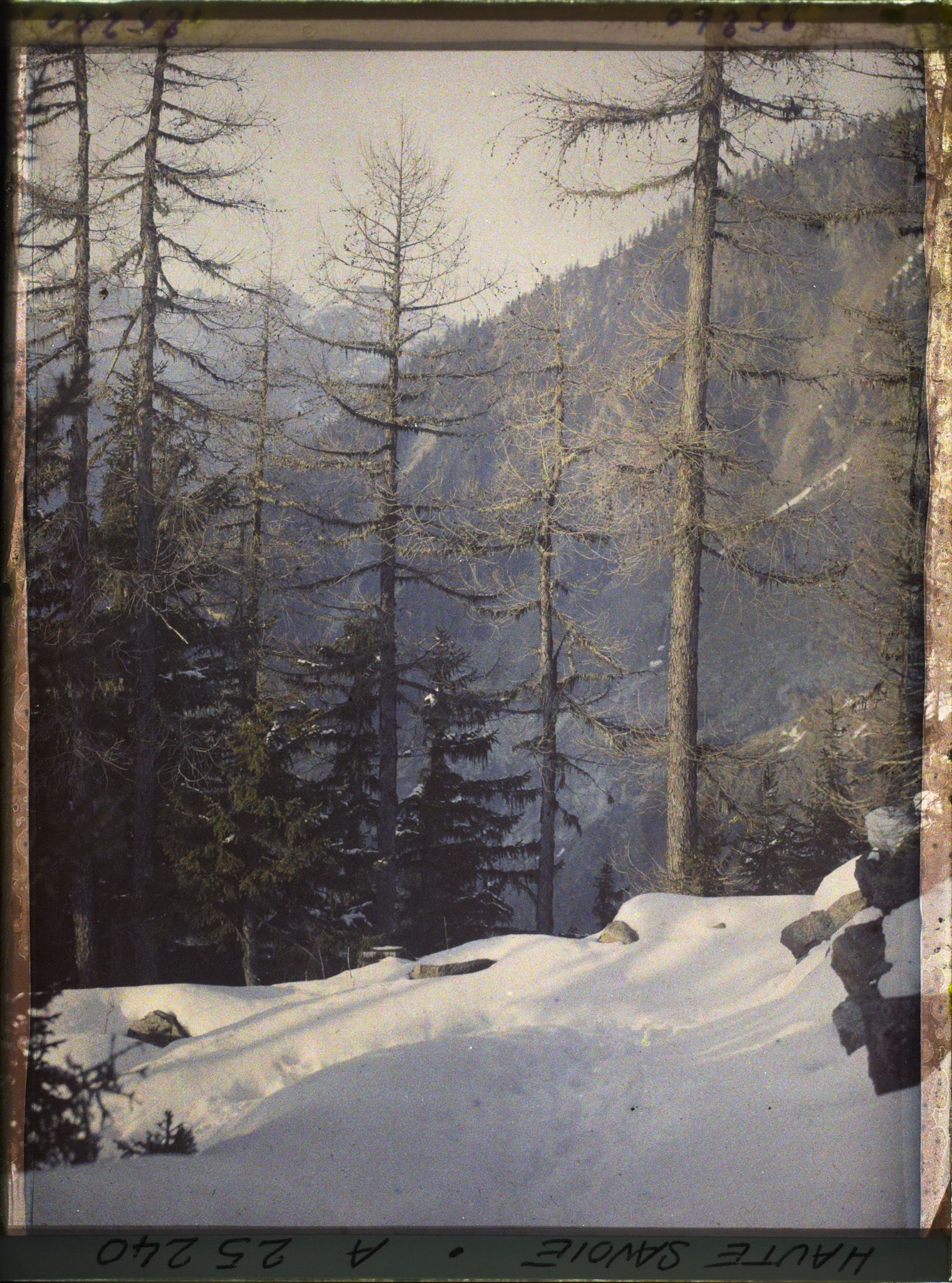 Image représentant France Les Alpes, La mer de Glace, Vue sur les pentes du Charmoz