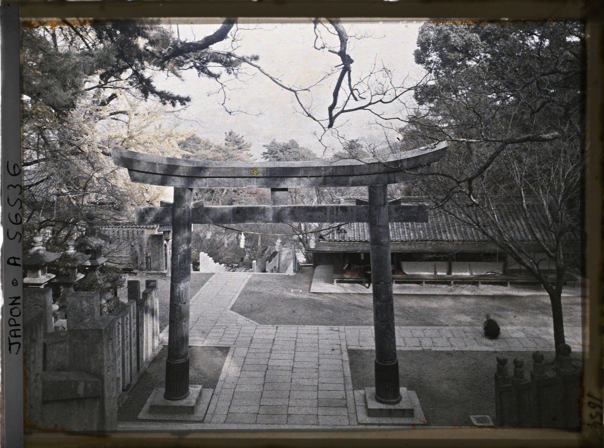 Image représentant Sanctuaire Kotohira-gu (ou Konpira-san) : torii