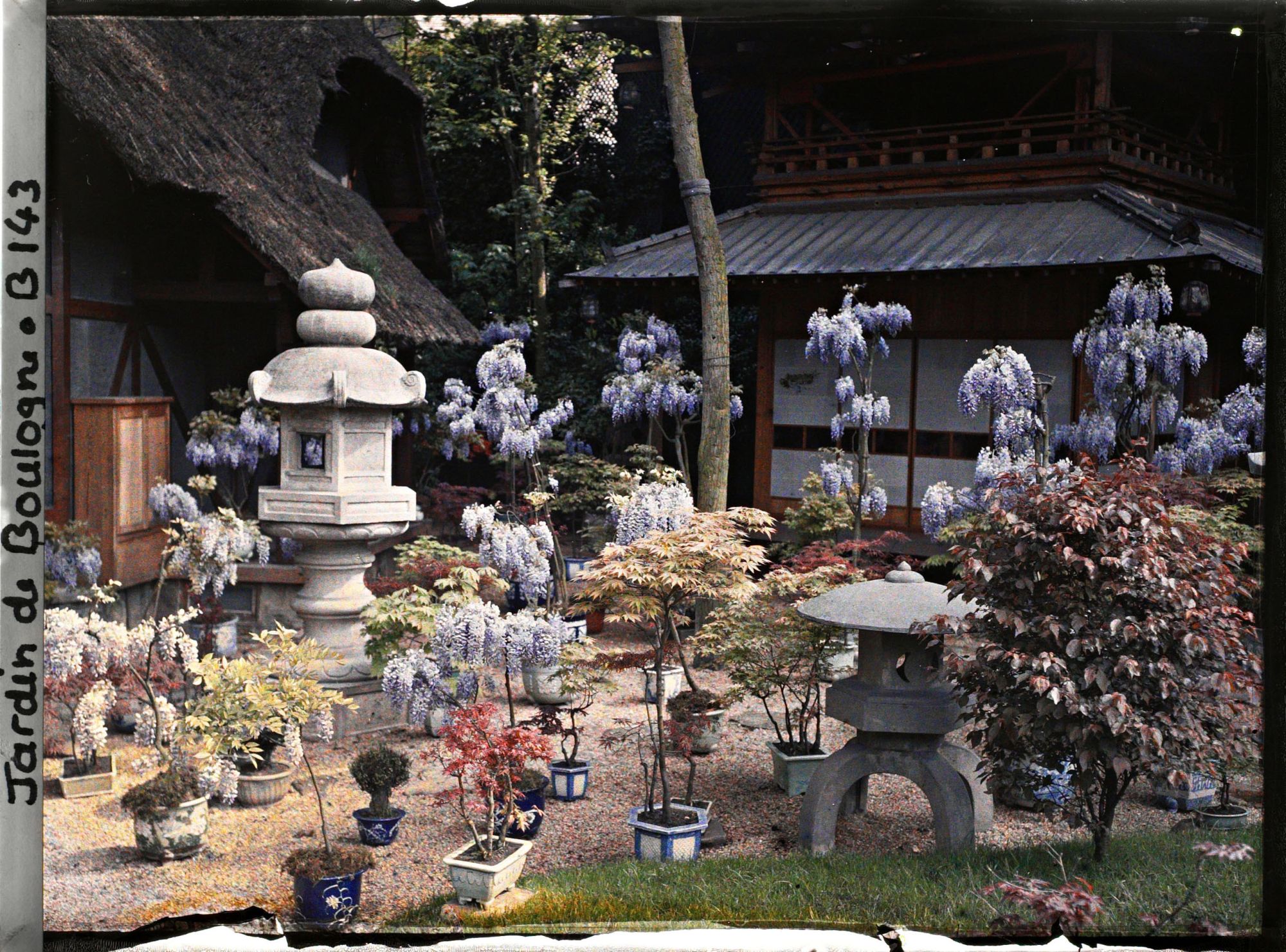 Image représentant Lanternes, glycines en fleurs et bonsaïs entre pagode et laiterie à l'entrée du " village japonais "