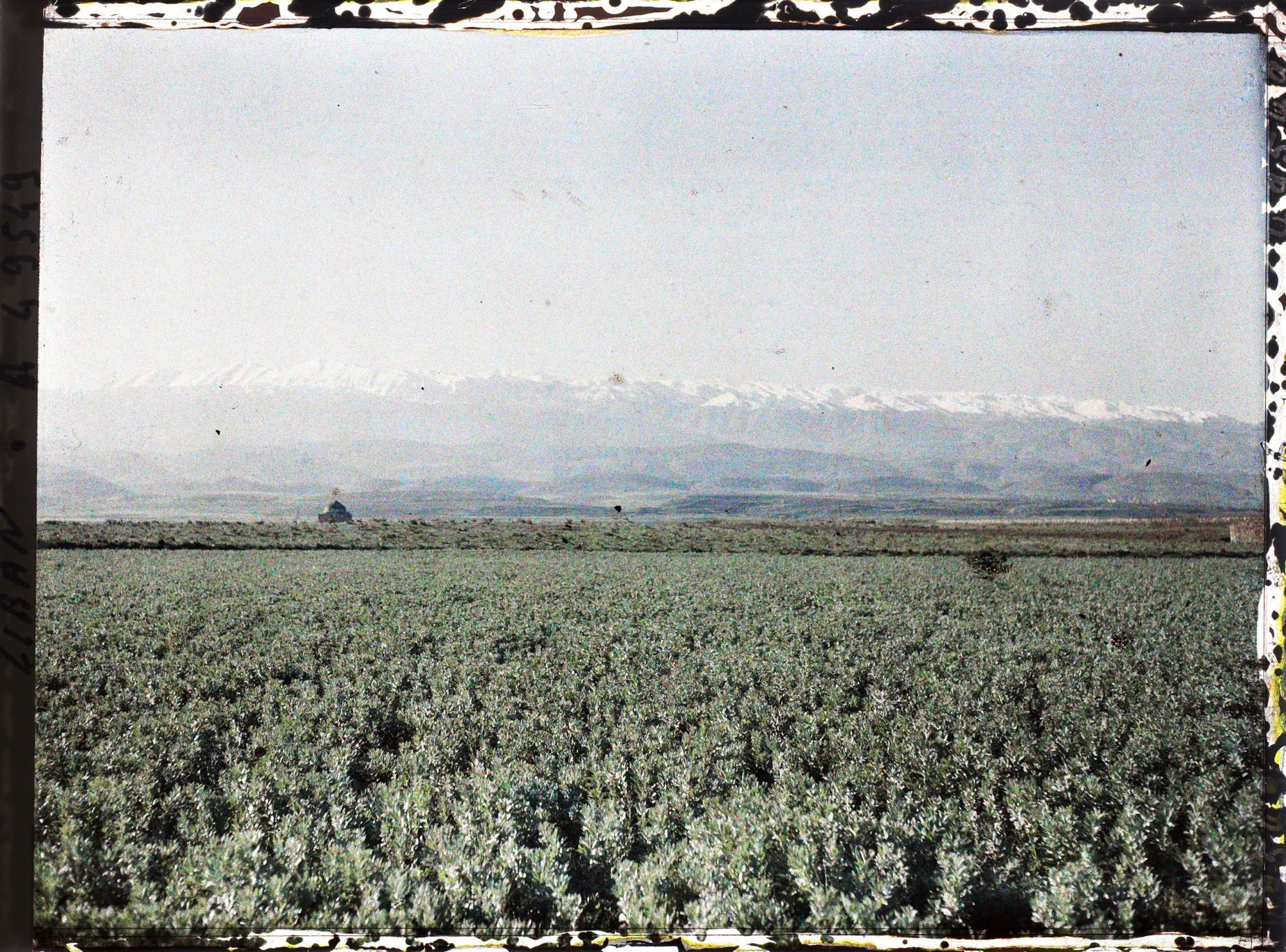 Image représentant Vue vers la chaîne du Mont Liban