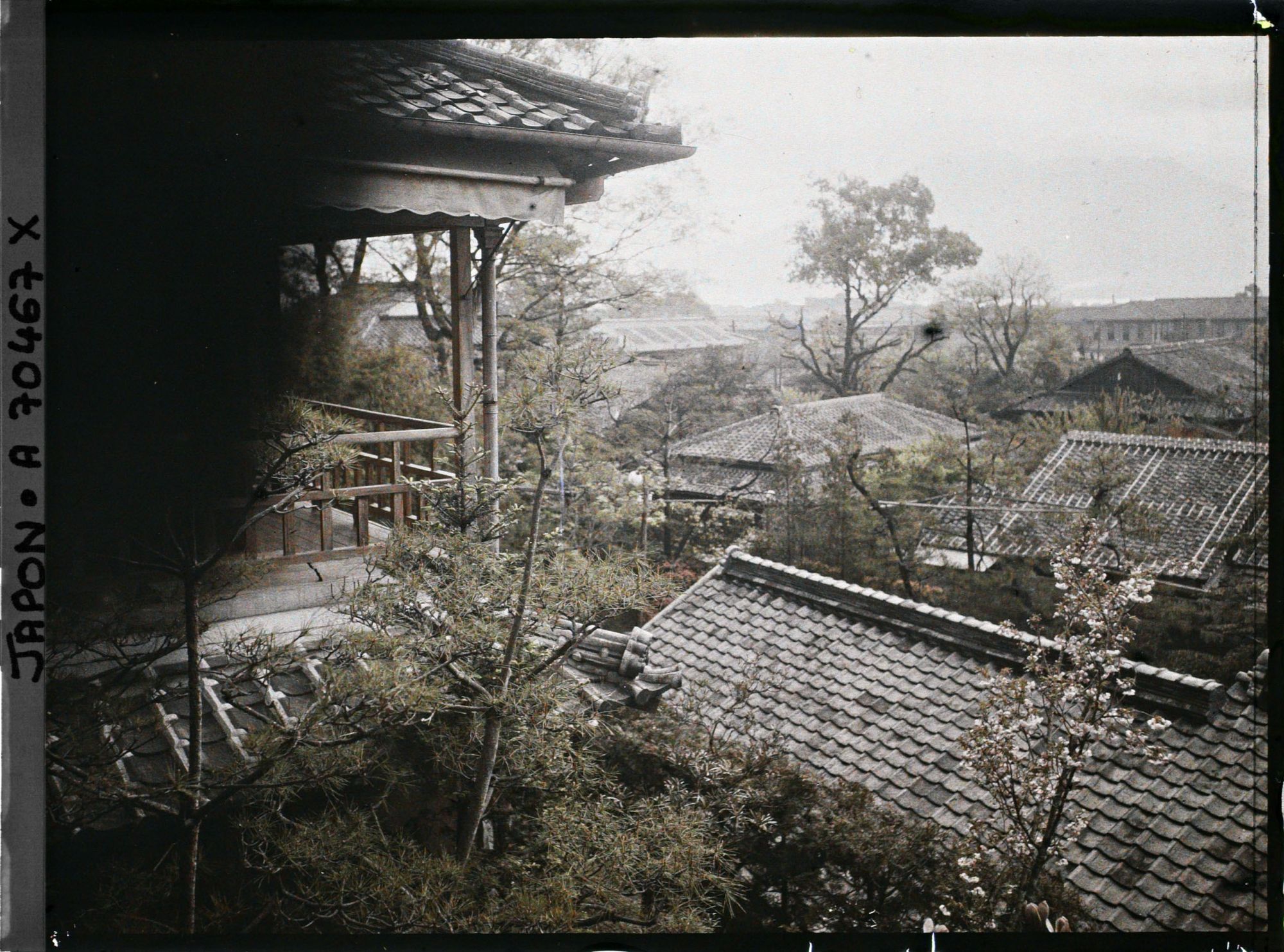 Image représentant Vue de la ville et du Sakurajima depuis une auberge